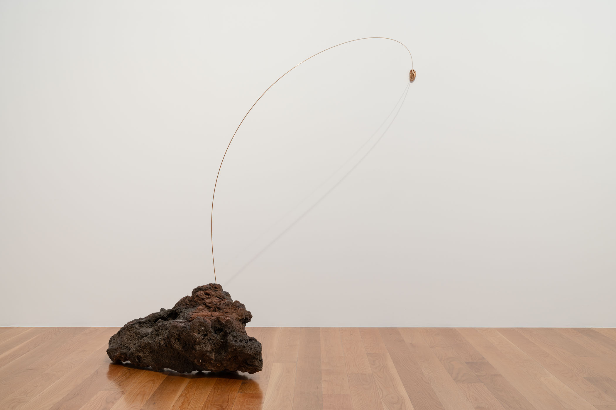 Lucid reverie – panorama of portuguese contemporary art at galeria municipal do porto 46