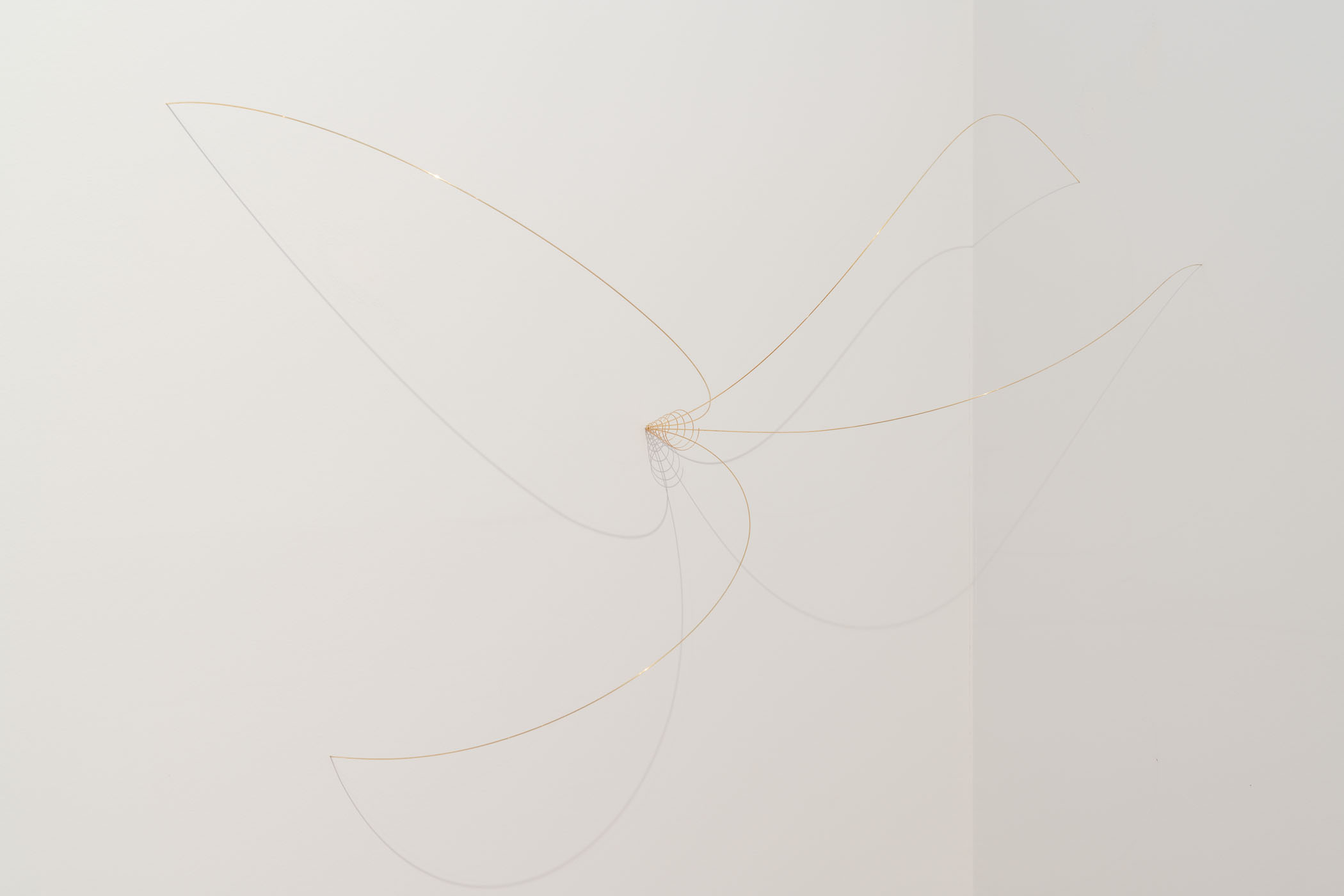 Lucid reverie – panorama of portuguese contemporary art at galeria municipal do porto 47