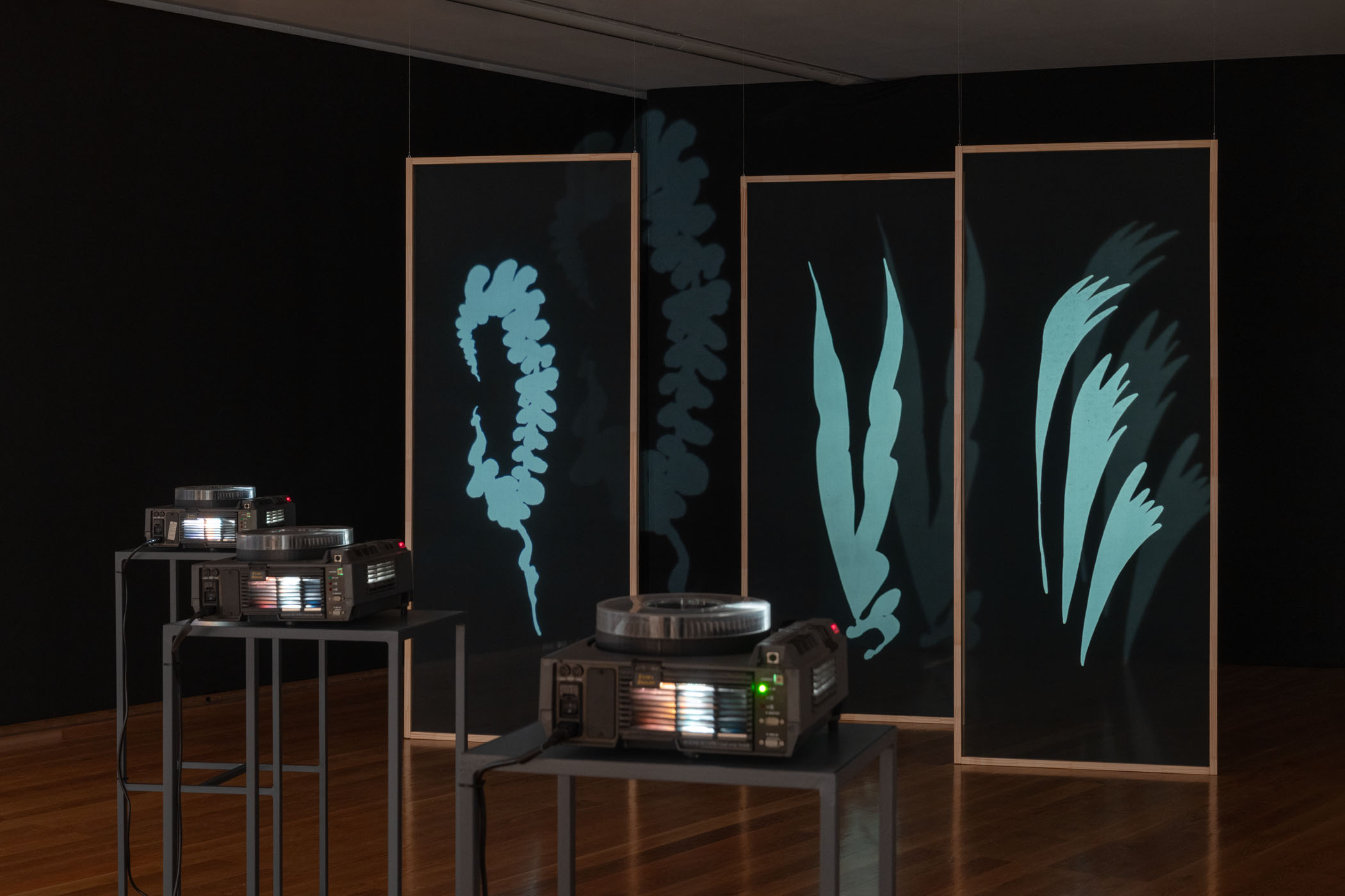 Lucid reverie – panorama of portuguese contemporary art at galeria municipal do porto 67