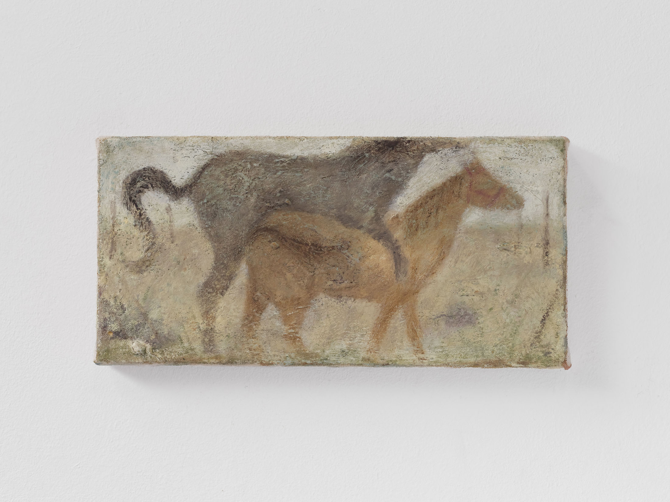 Merve ceylan and ole goldt at acappella, naples 3