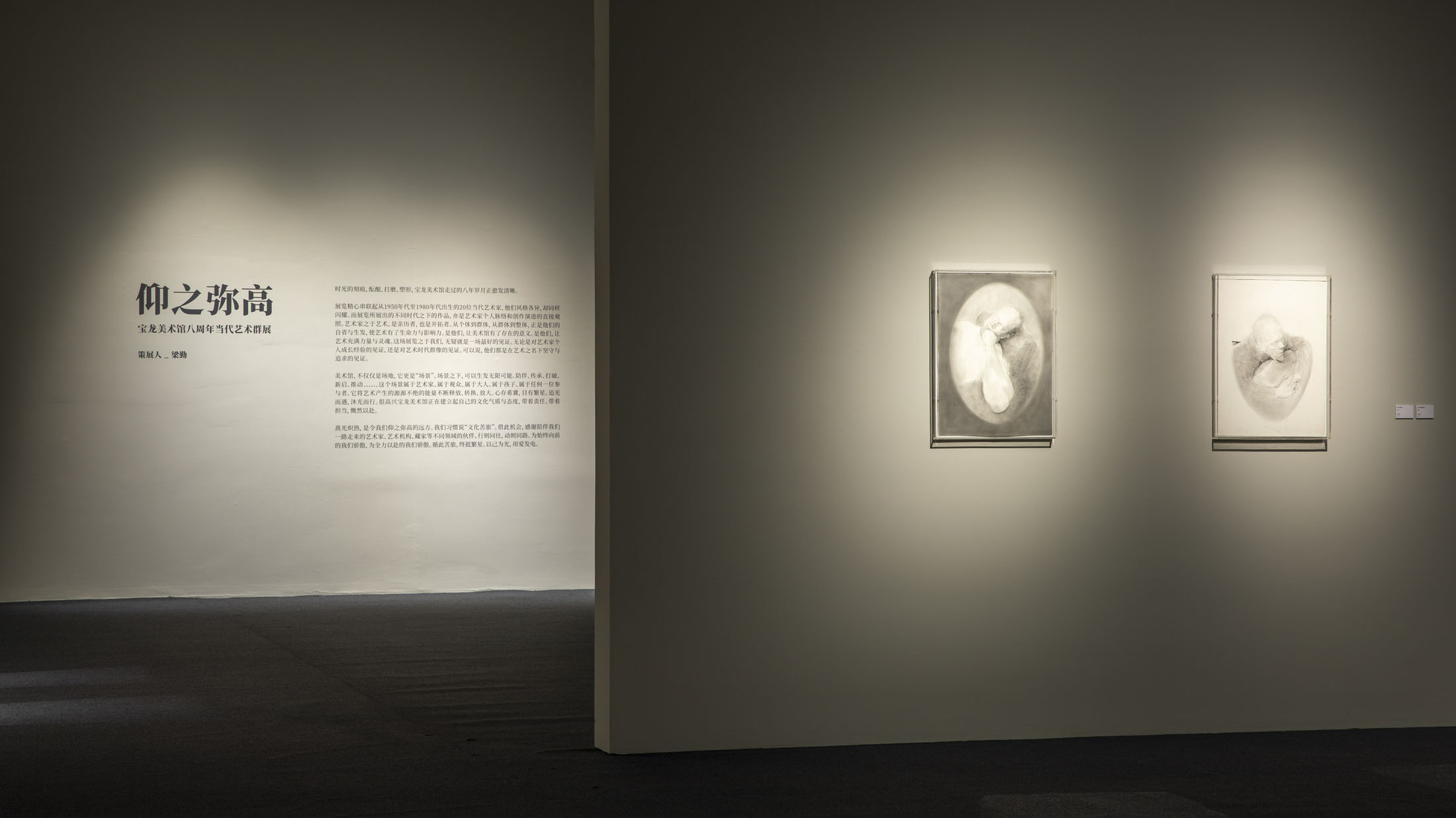 Baishui at powerlong museum shanghai 6