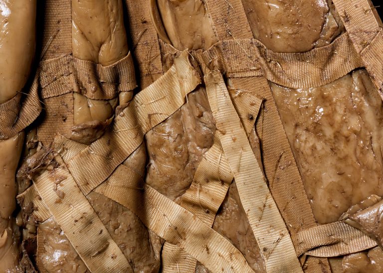 Bianca hlywa at atoi, bilbao cover