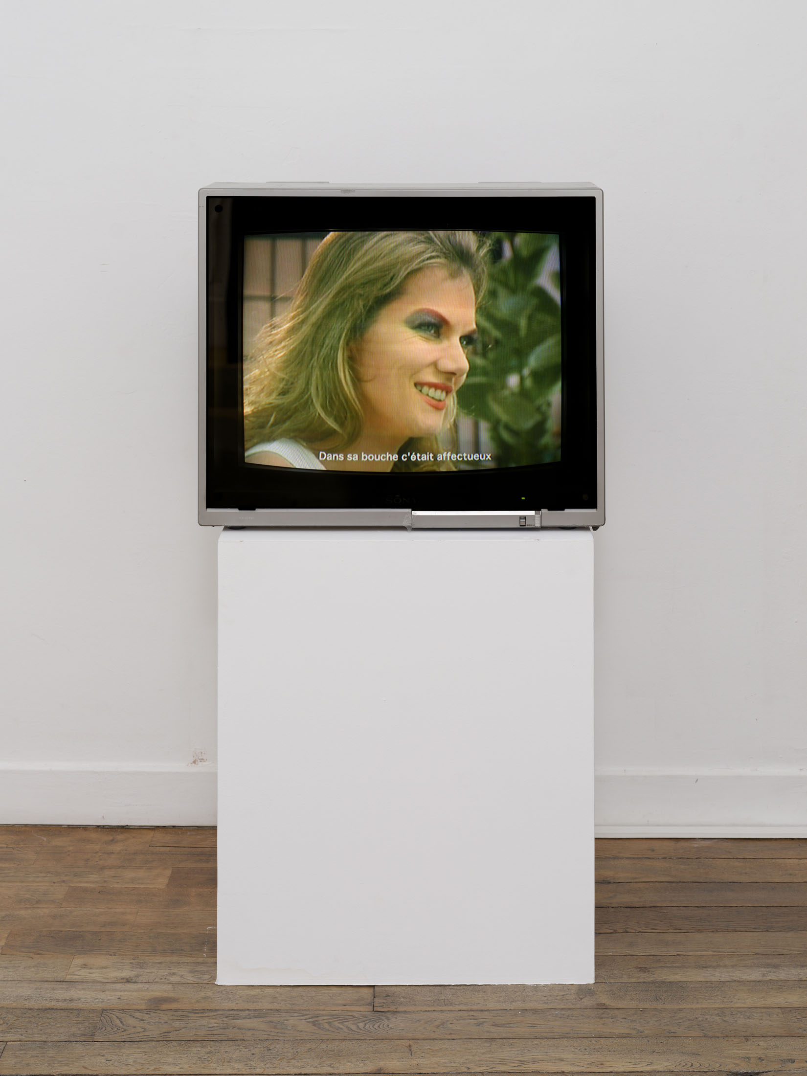 Brice dellsperger at passages centre d’art contemporain, troyes 1