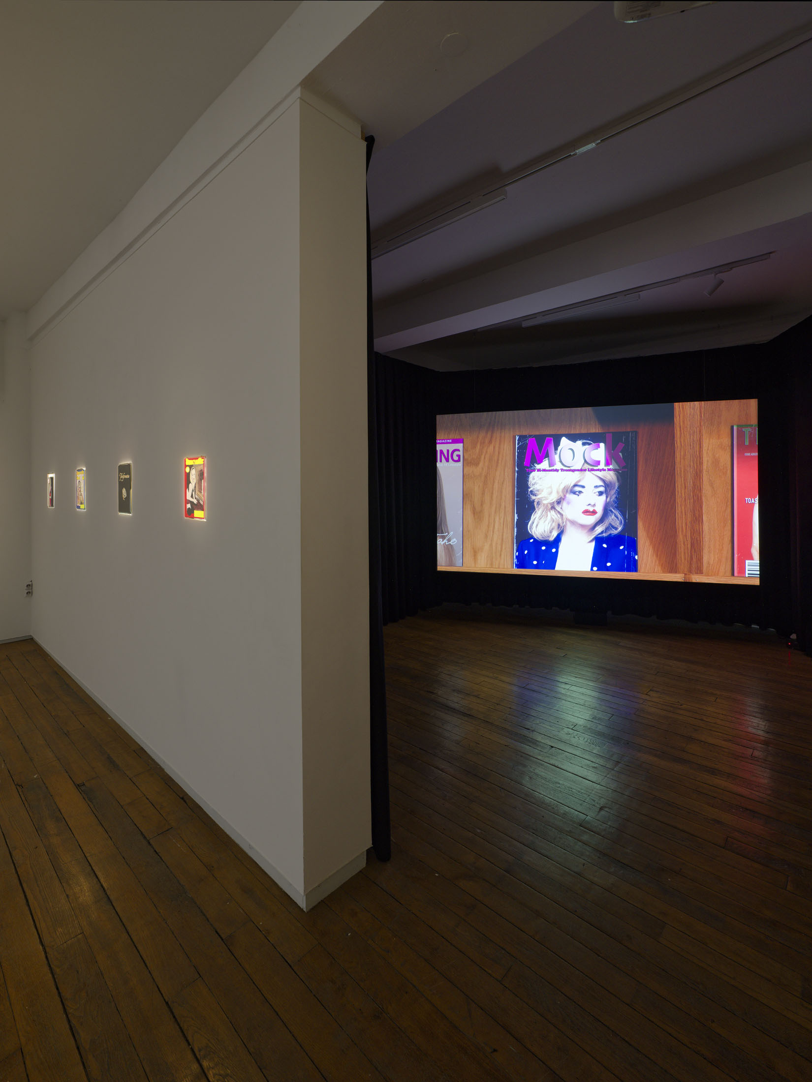 Brice dellsperger at passages centre d’art contemporain, troyes 19