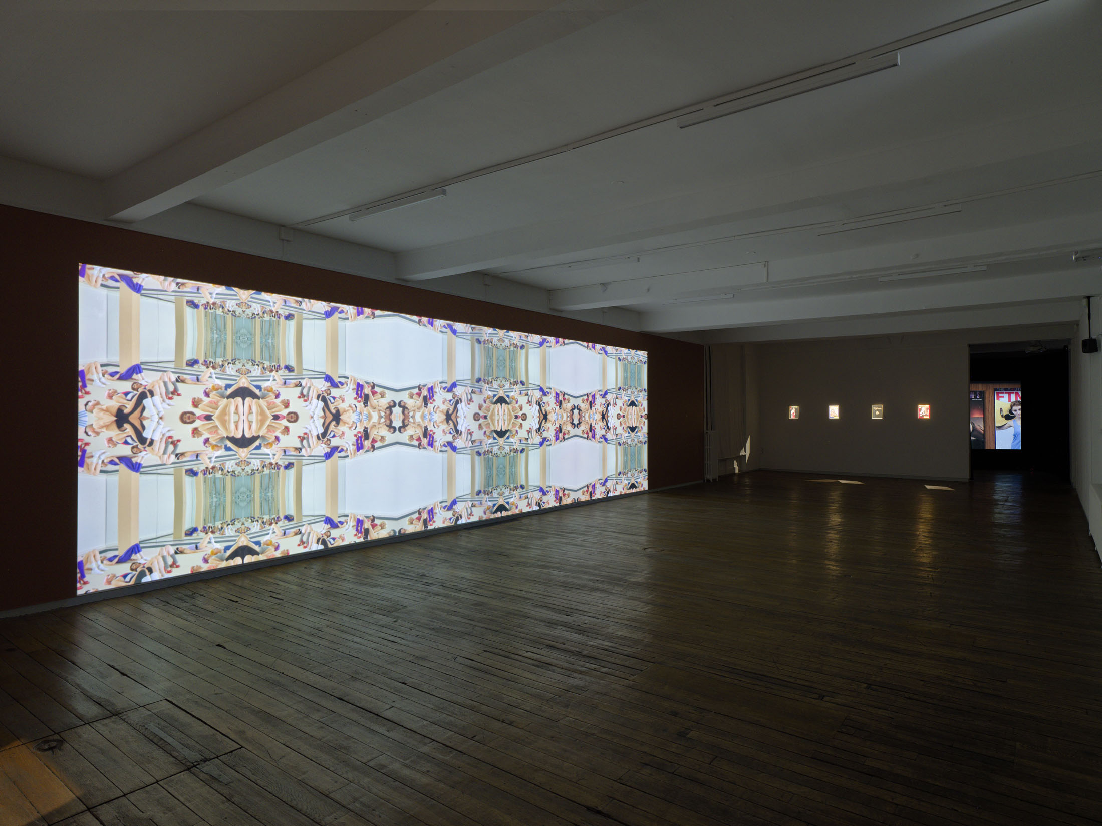 Brice dellsperger at passages centre d’art contemporain, troyes 20