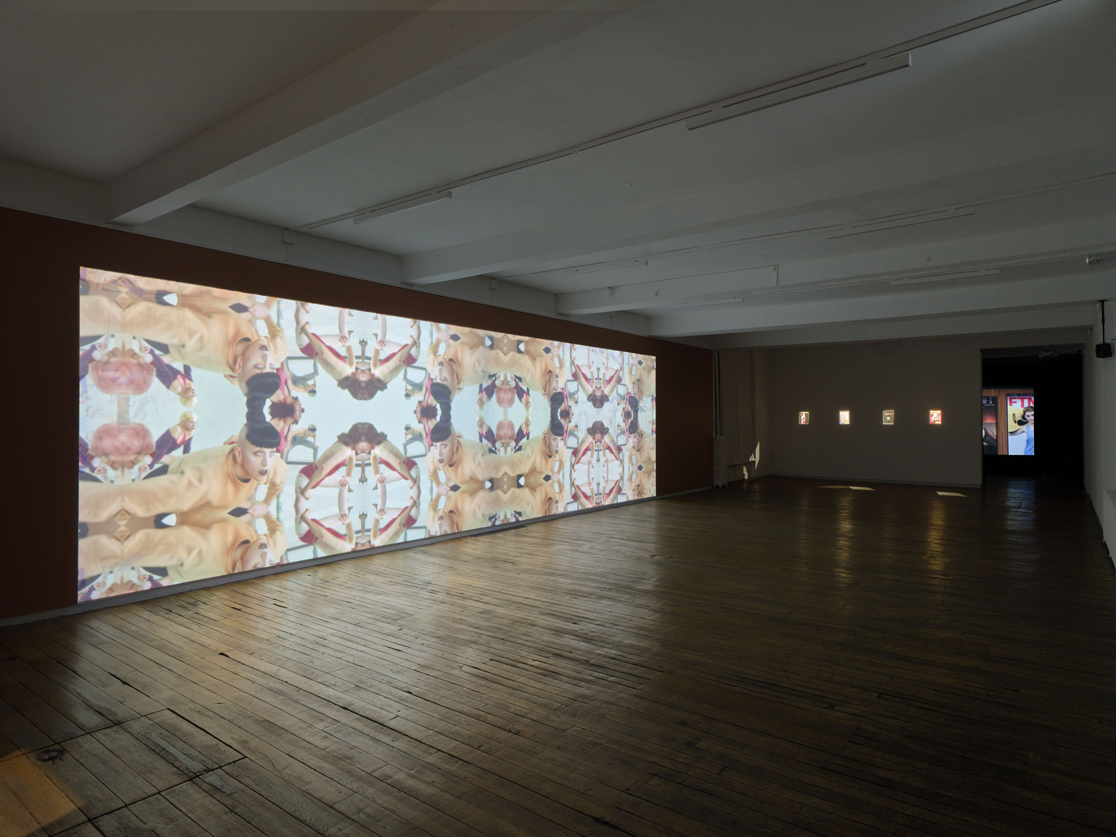 Brice dellsperger at passages centre d’art contemporain, troyes 21