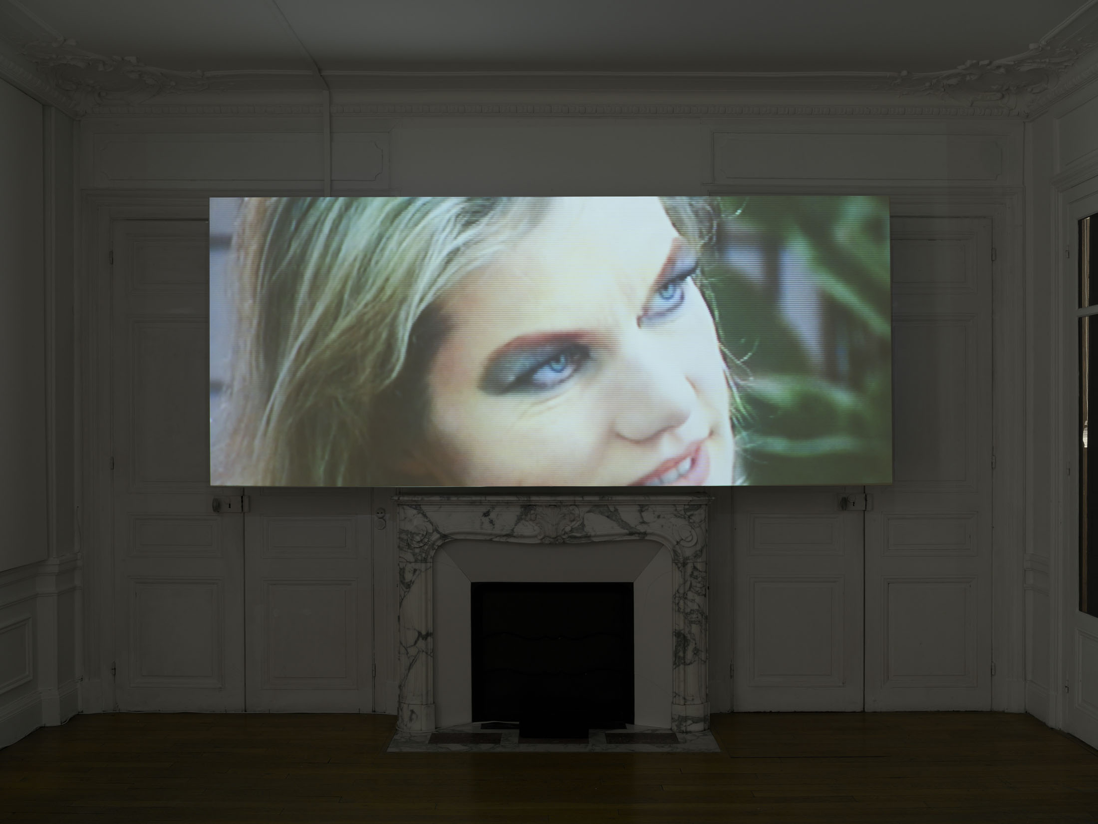 Brice dellsperger at passages centre d’art contemporain, troyes 3