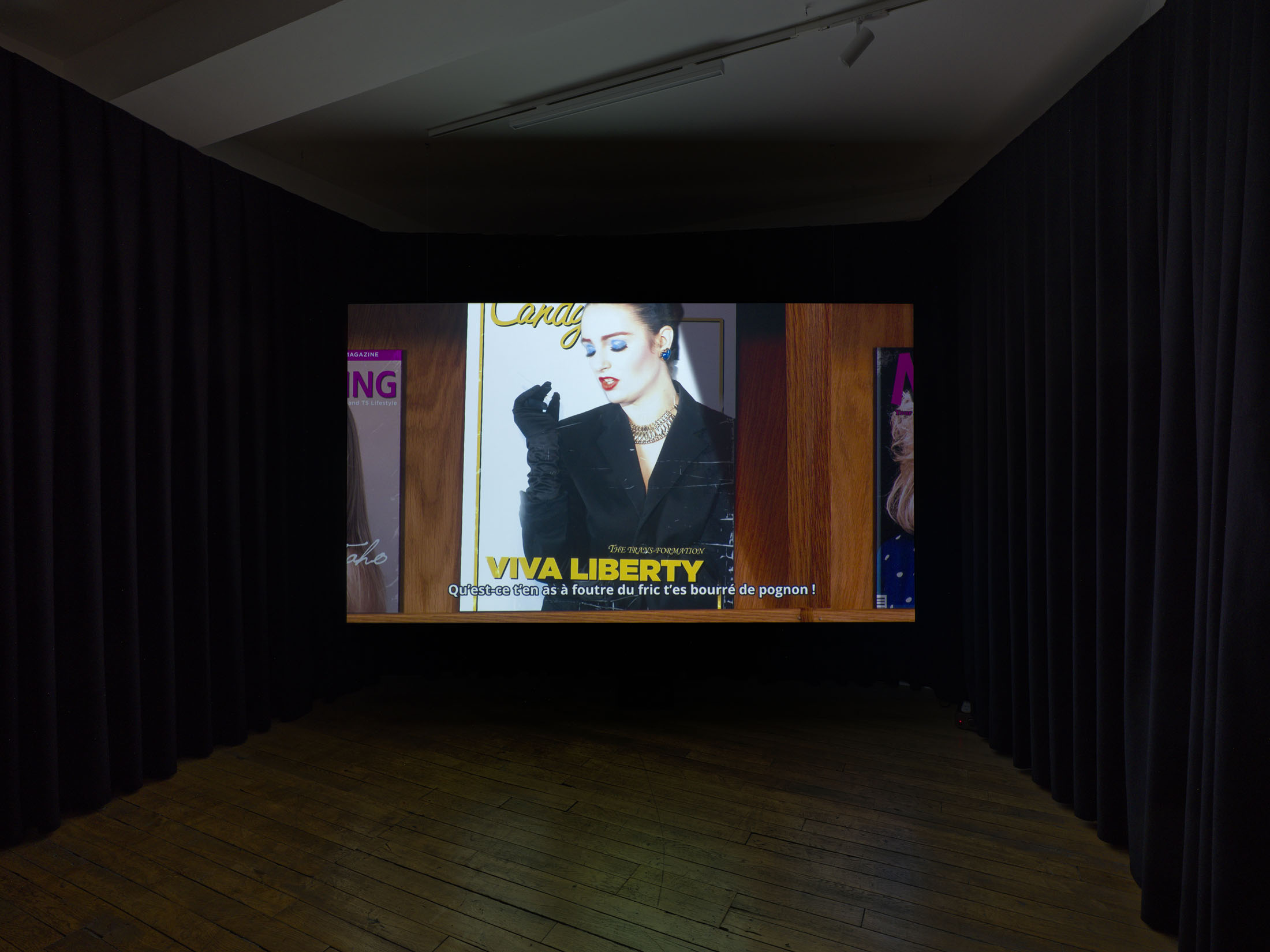 Brice dellsperger at passages centre d’art contemporain, troyes 6