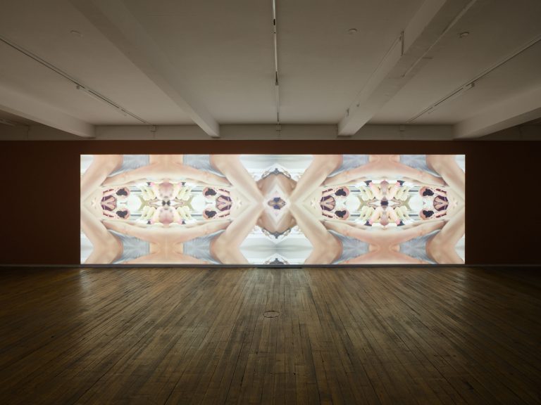 Brice dellsperger at passages centre d’art contemporain, troyes 8