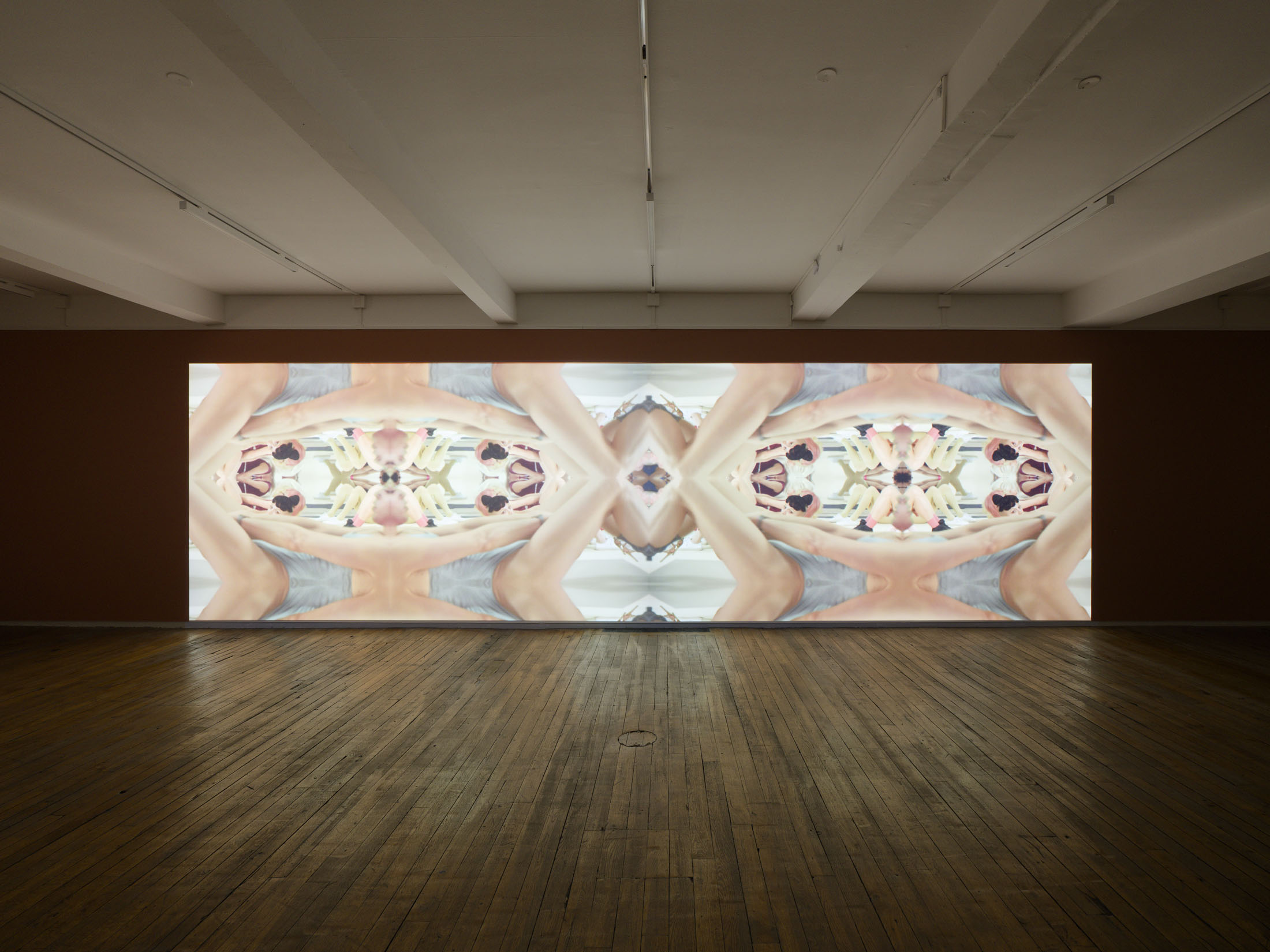 Brice dellsperger at passages centre d’art contemporain, troyes 8