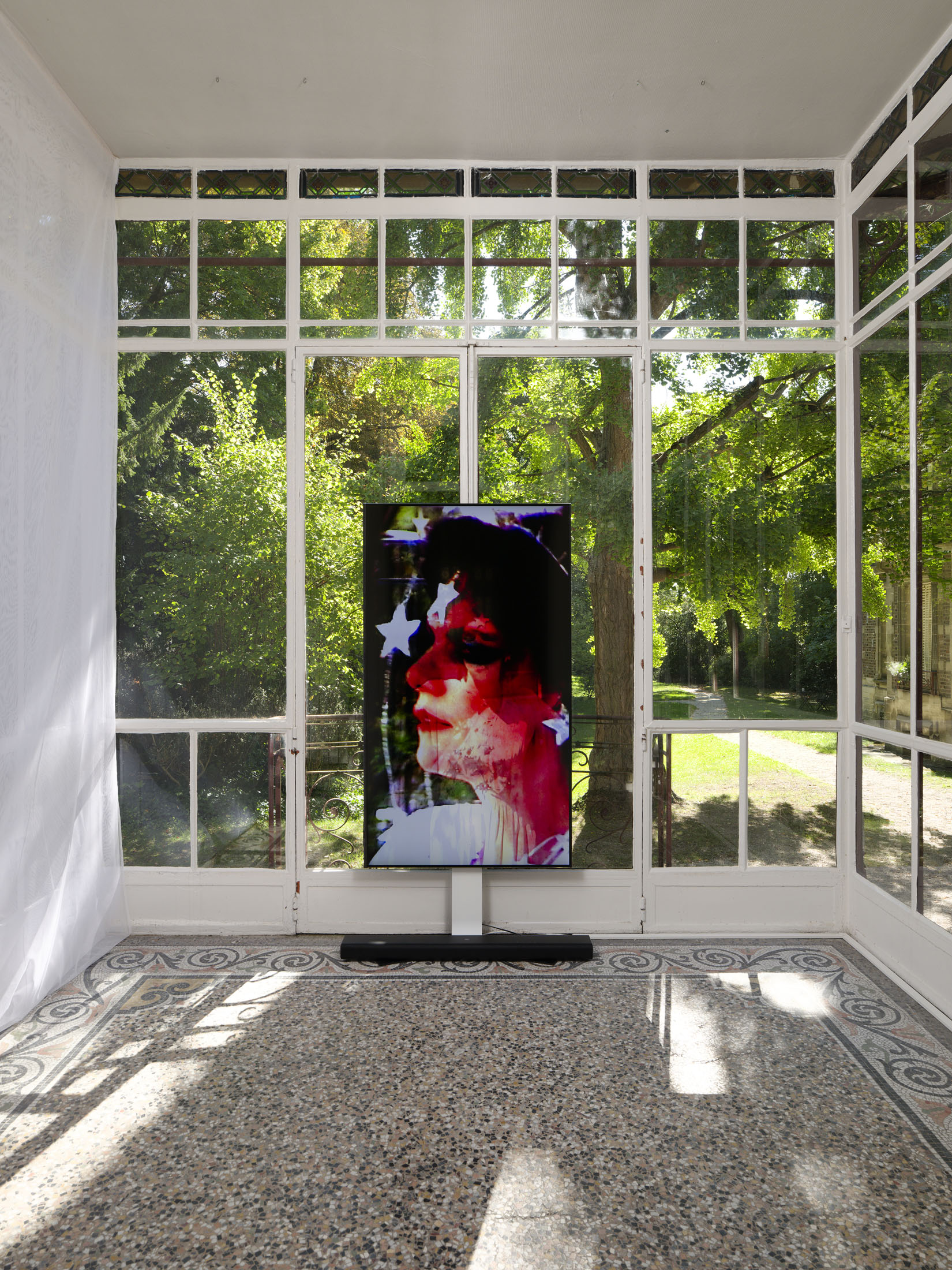 Brice dellsperger at passages centre d’art contemporain, troyes 9