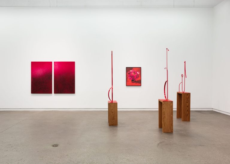 Caught between the tongue and the taste at daniel faria gallery, toronto 10