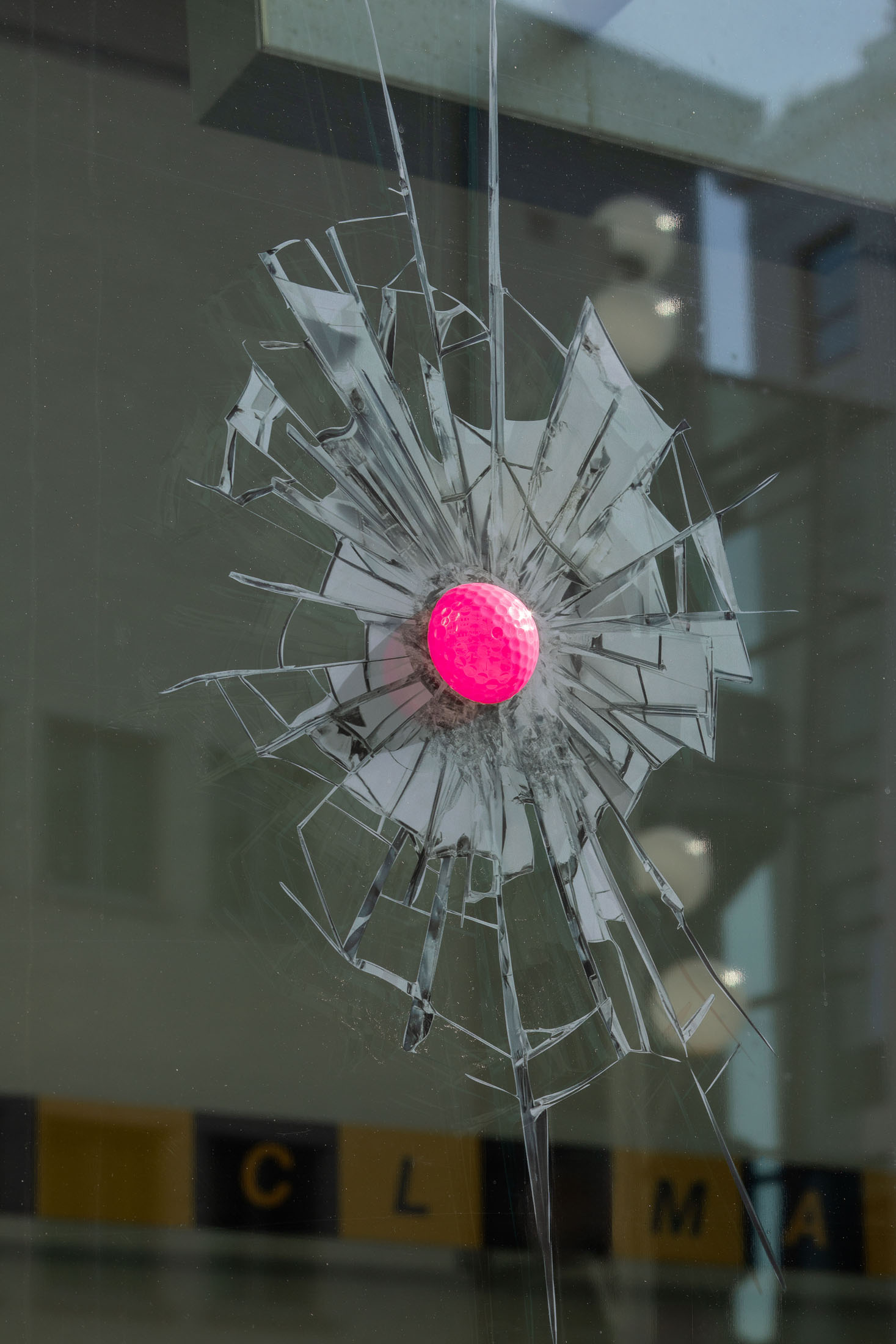 Gabriele garavaglia and miriam laura leonardi at istituto svizzero, milan 16