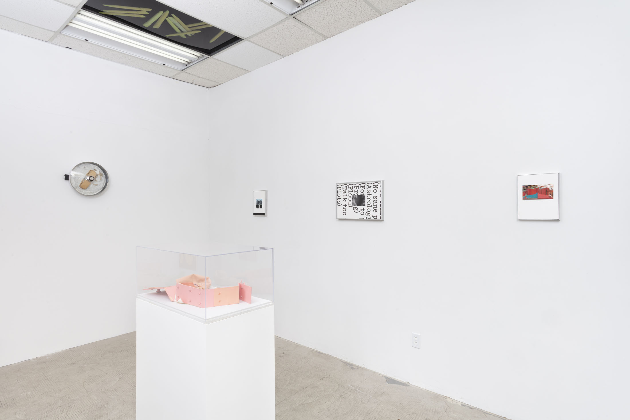 Grand buffet at gene’s dispensary, los angeles 4