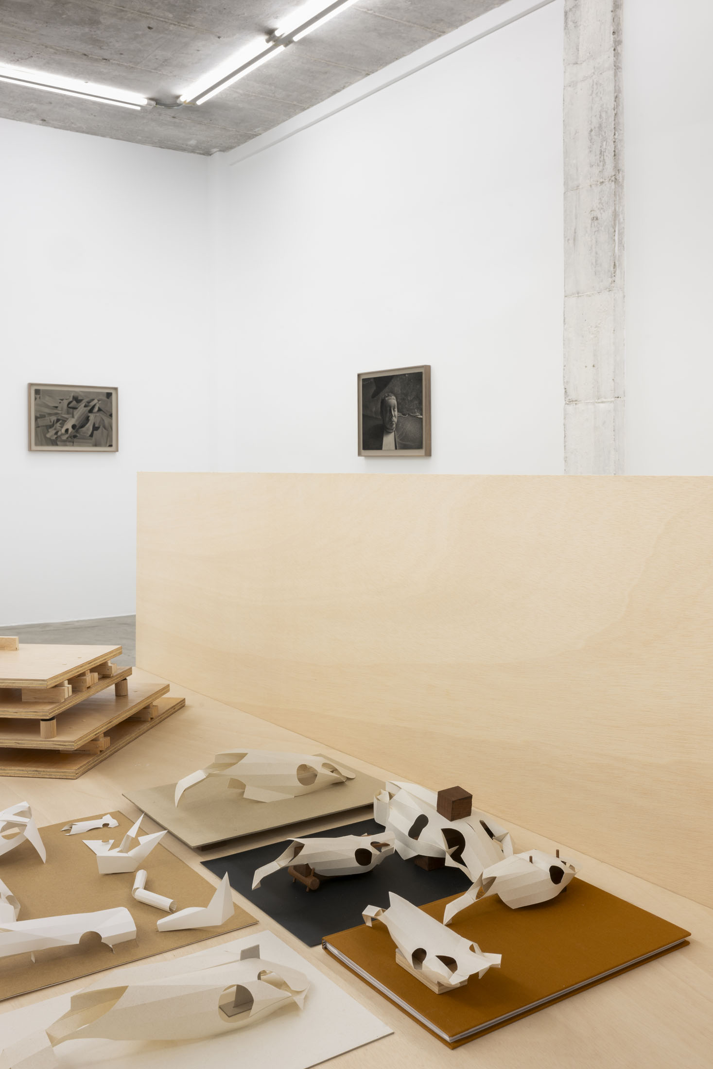 José miguel pereñíguez at the goma, madrid 19