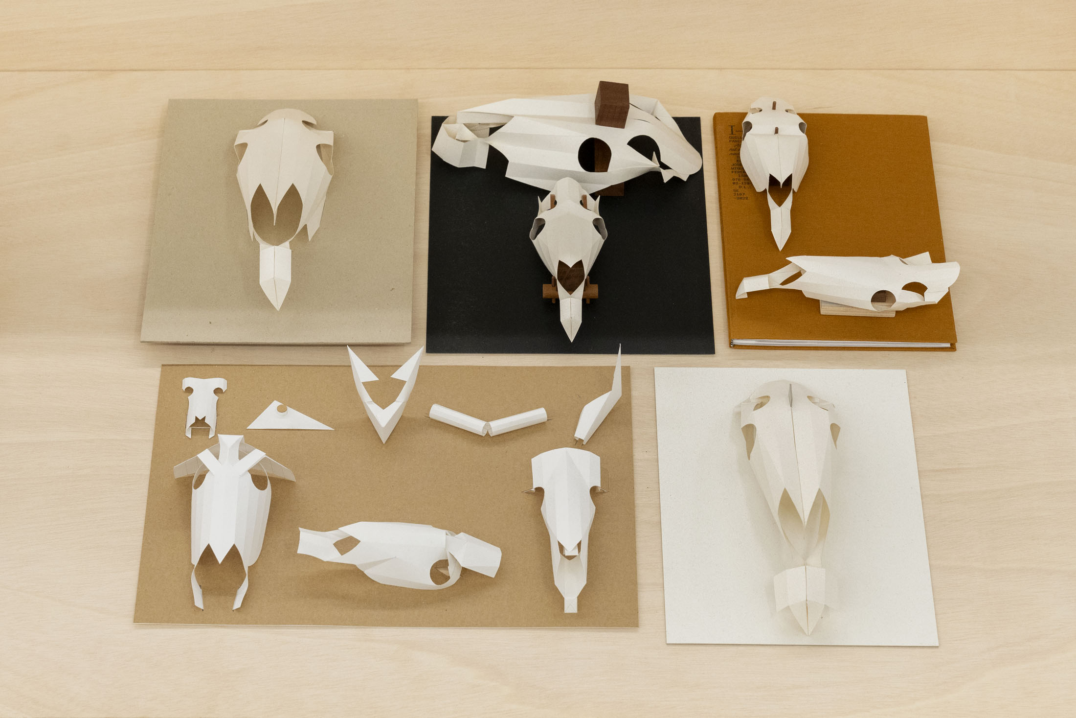 José miguel pereñíguez at the goma, madrid 30