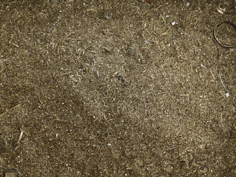 Lenard giller at petrine, paris 9