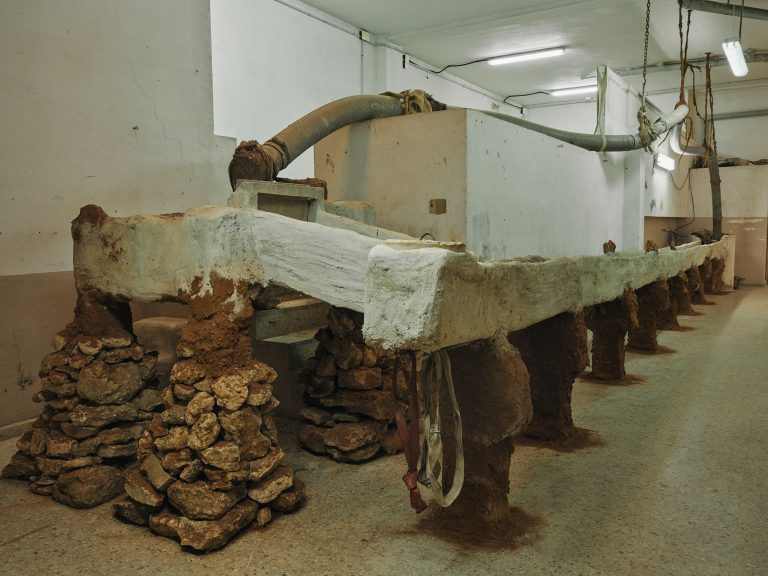 Pepet at pols, valencia 17