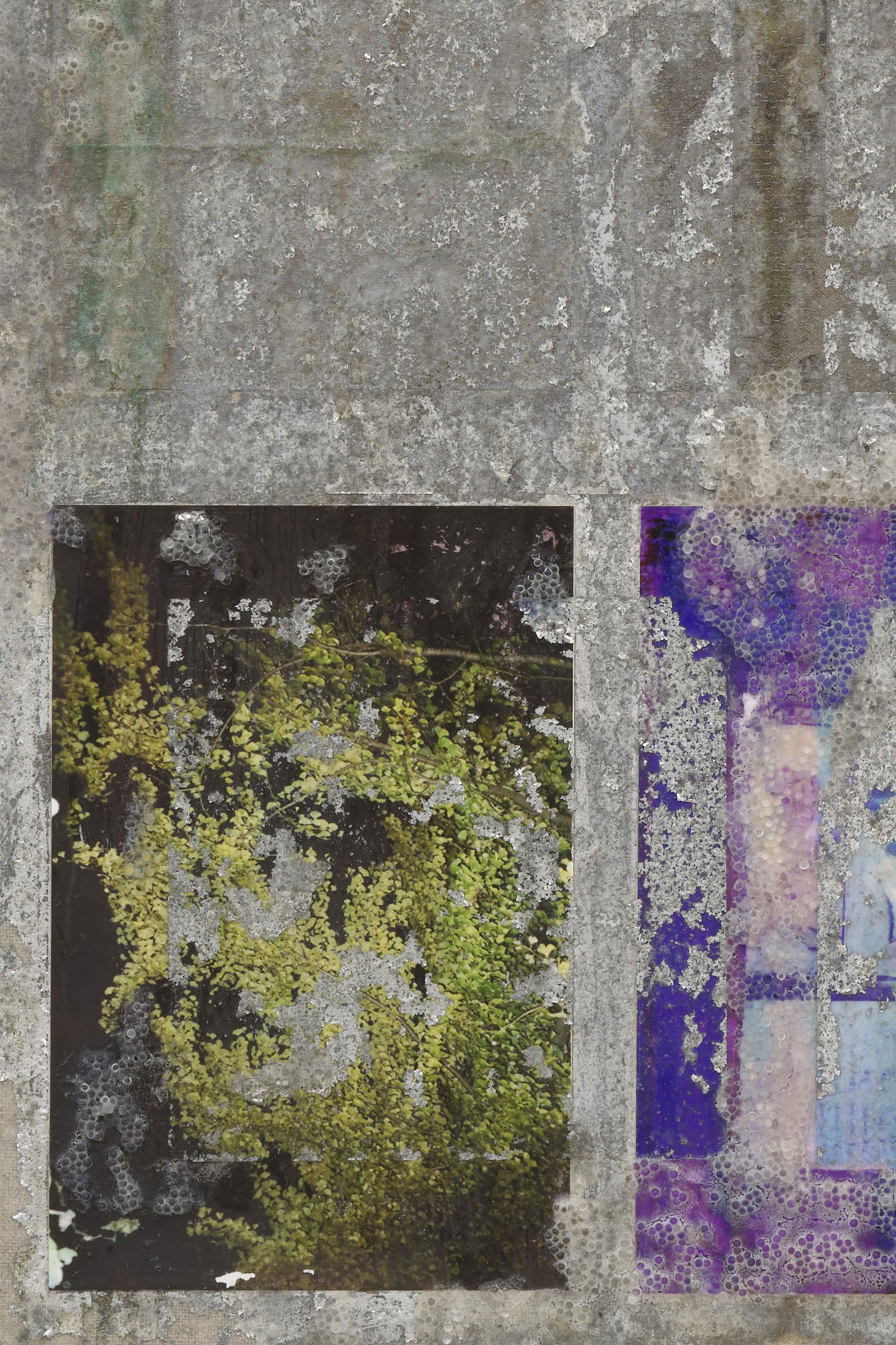 Promise at derosia, new york 14