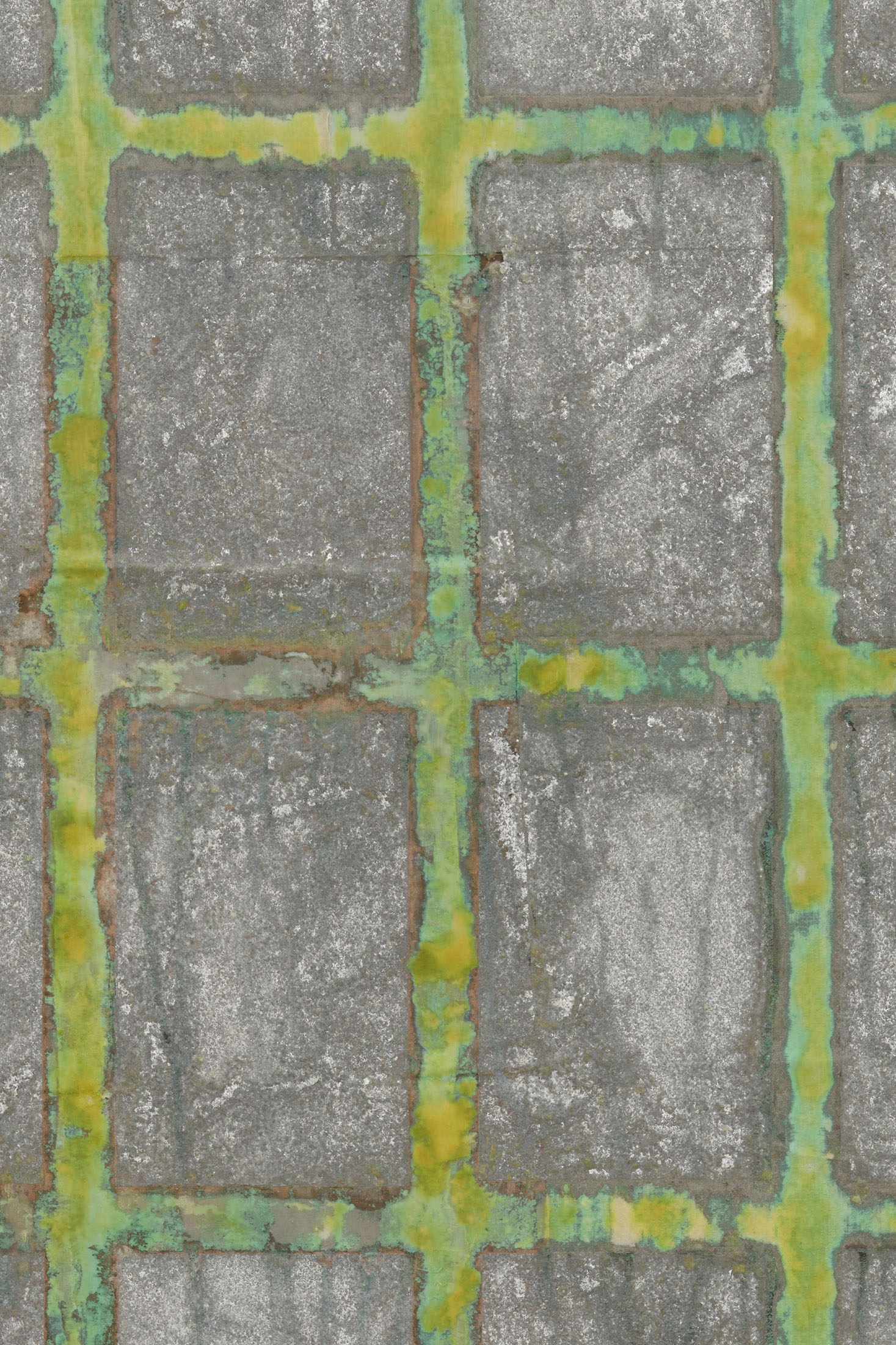 Promise at derosia, new york 17