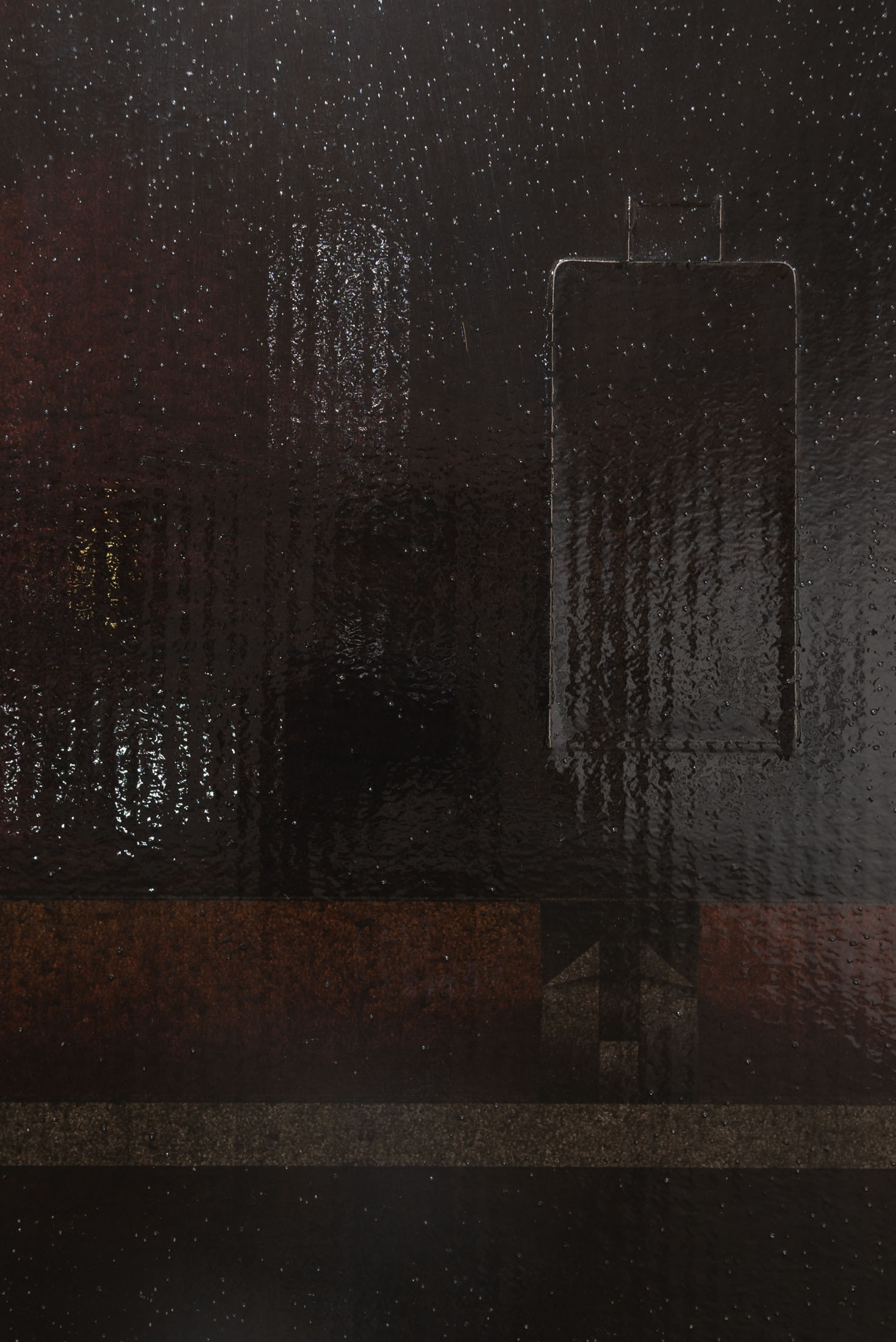 Promise at derosia, new york 5