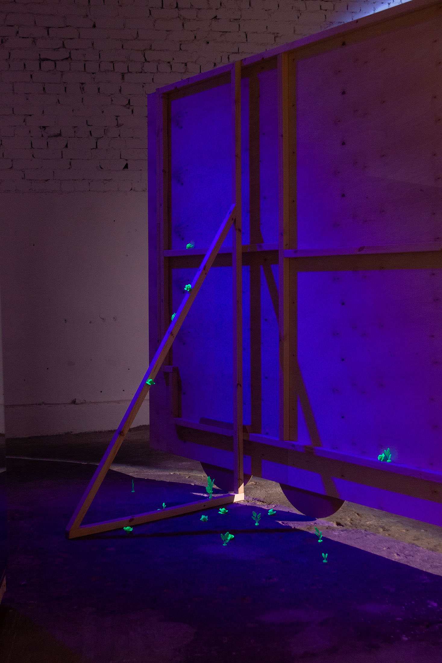 Under the sun at tur, riga 12