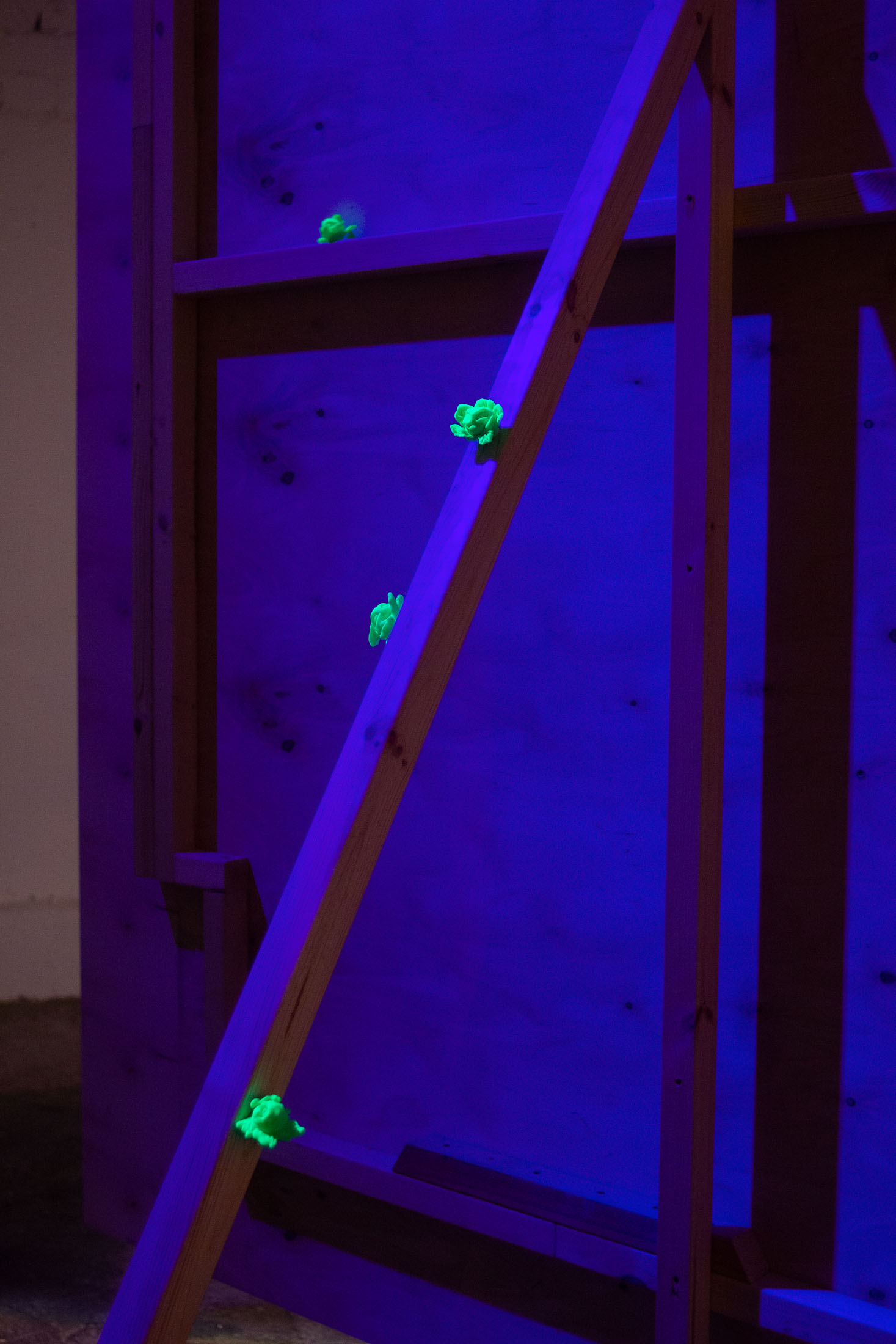 Under the sun at tur, riga 13