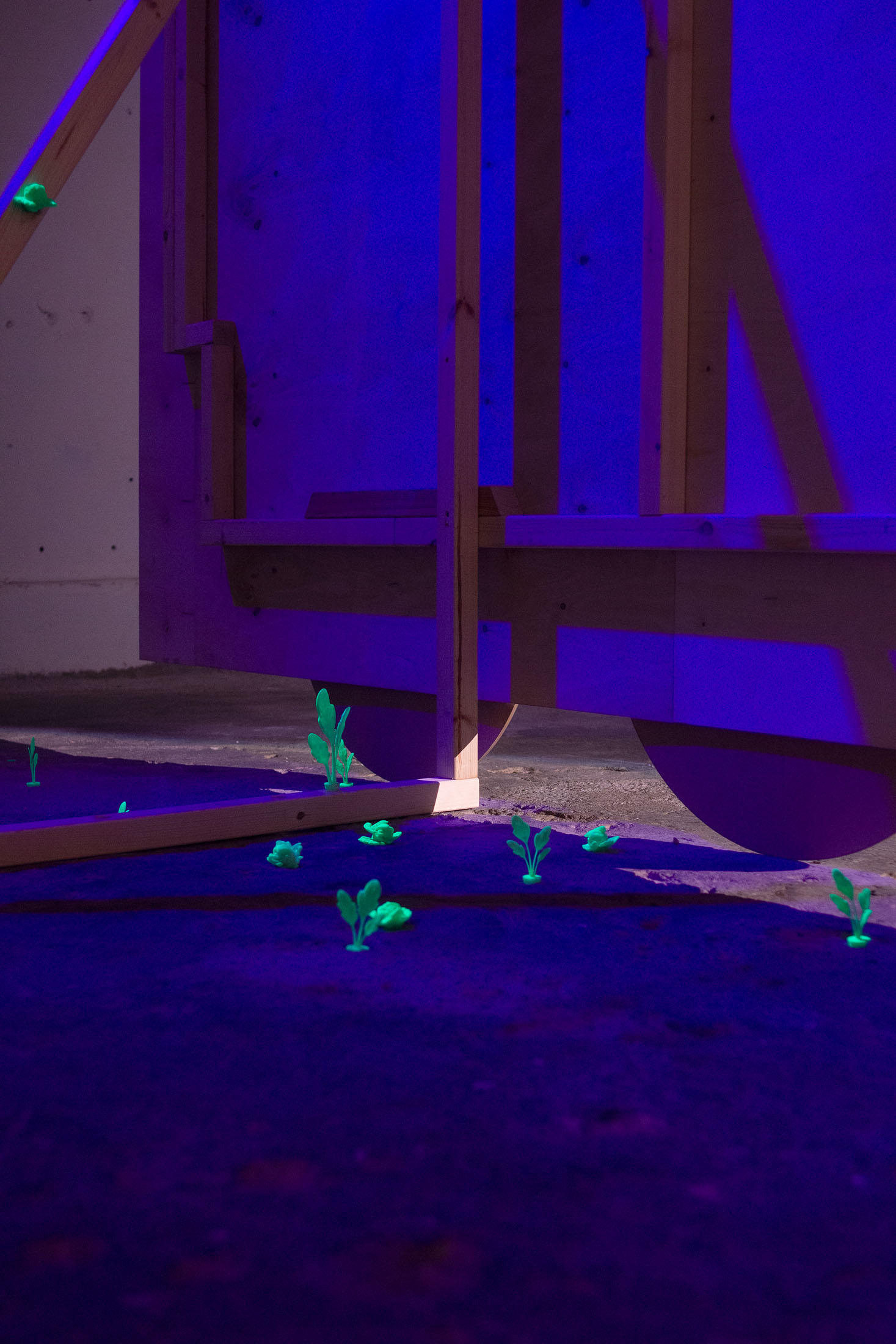 Under the sun at tur, riga 16