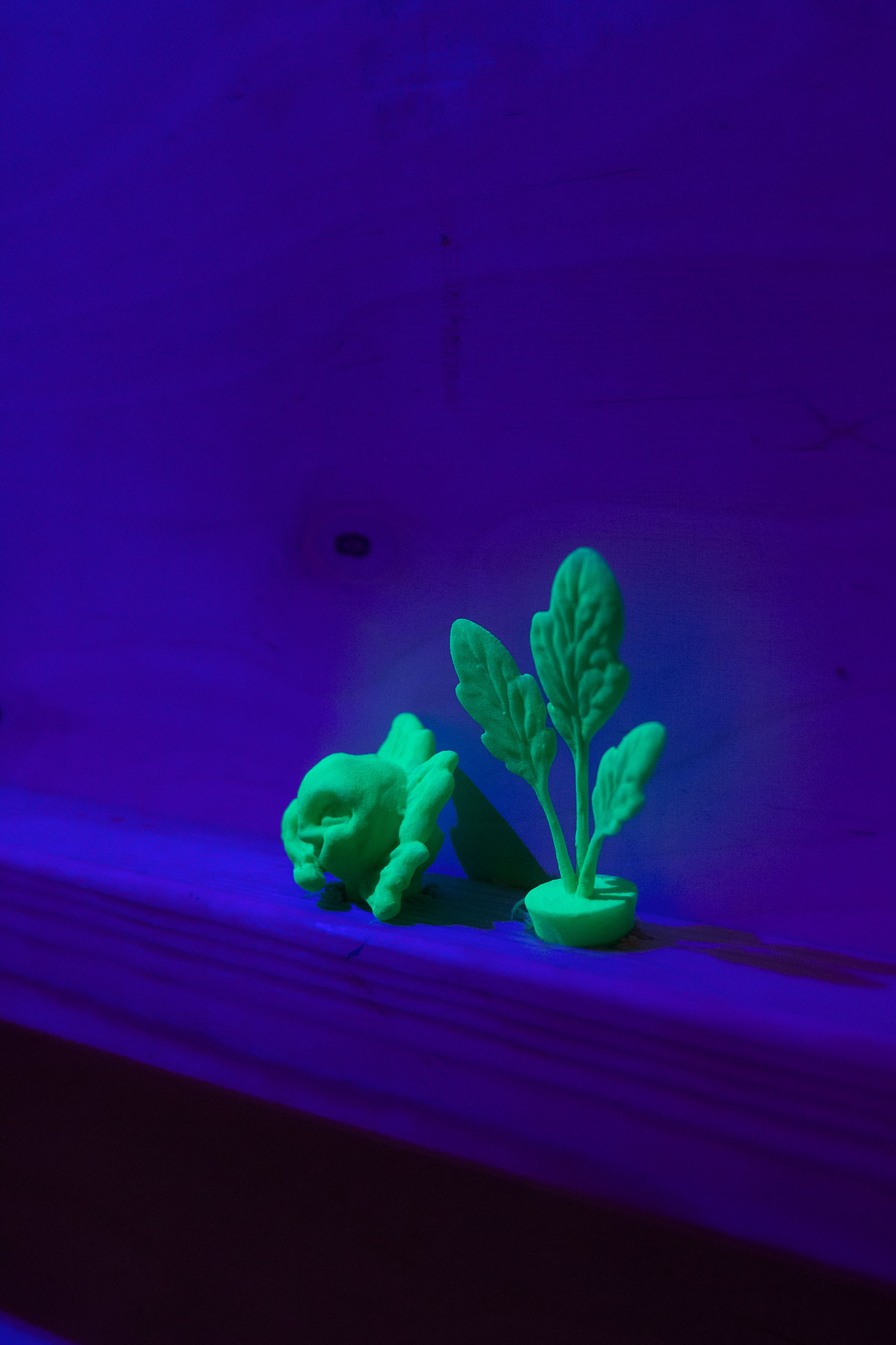 Under the sun at tur, riga 17