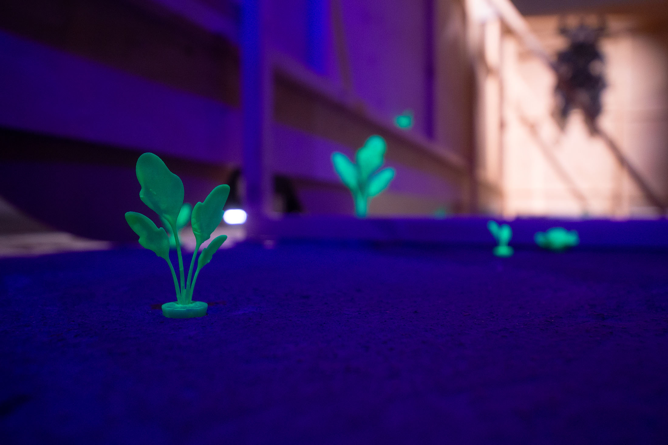 Under the sun at tur, riga 5