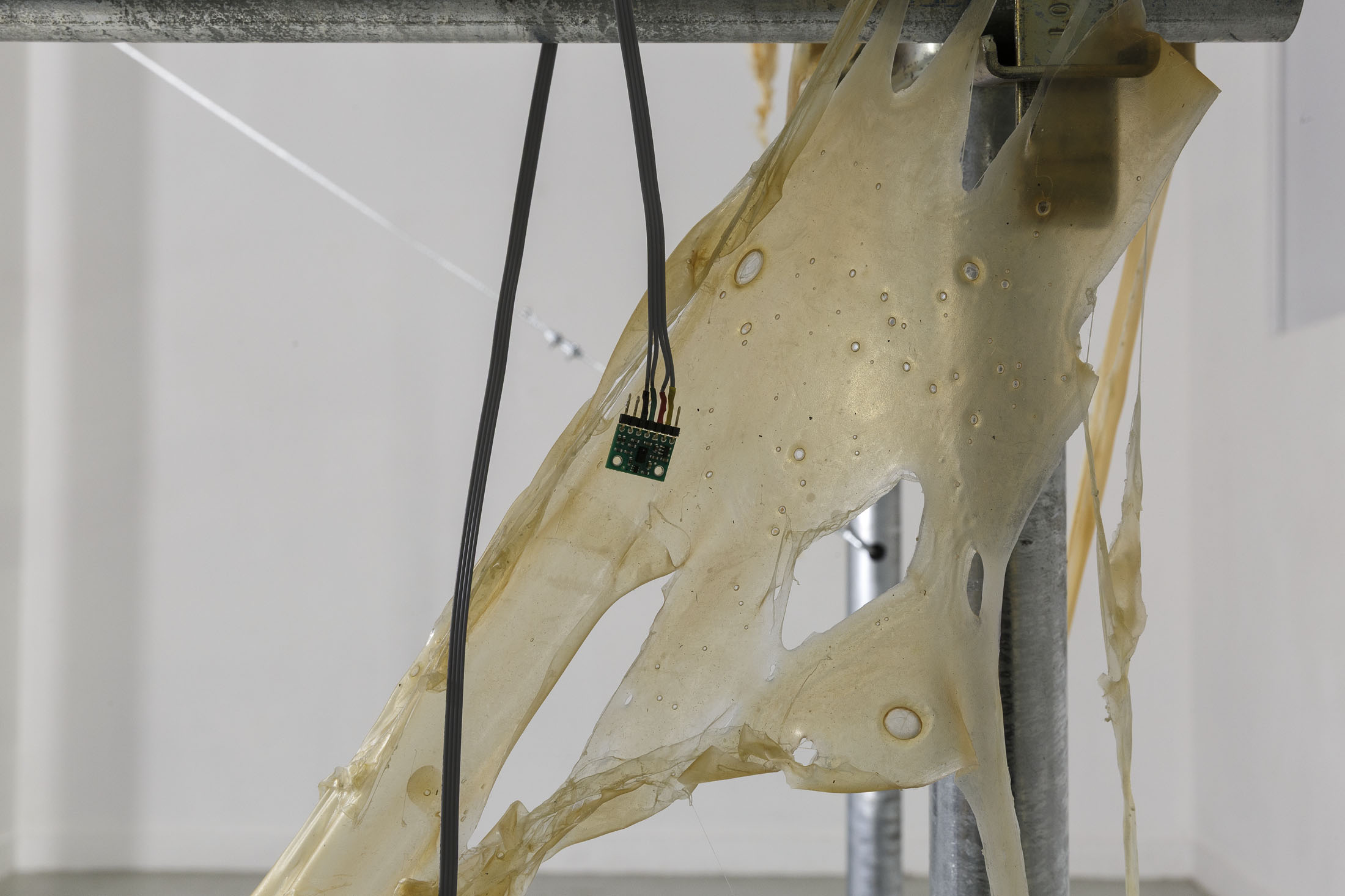 Adèle & emma leseigneur leullier at les bains douches, alençon 9