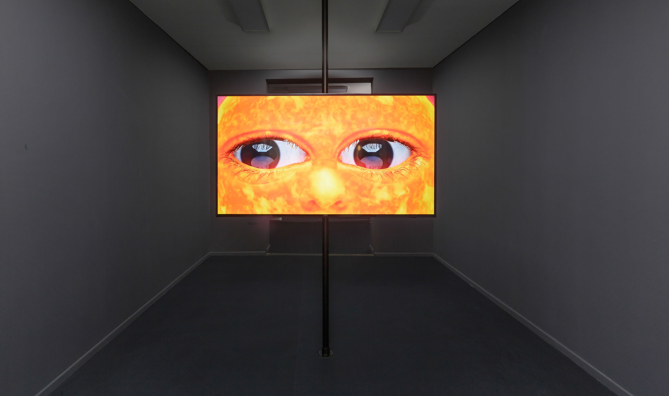 Agnieszka polska at 1646, the hague 34