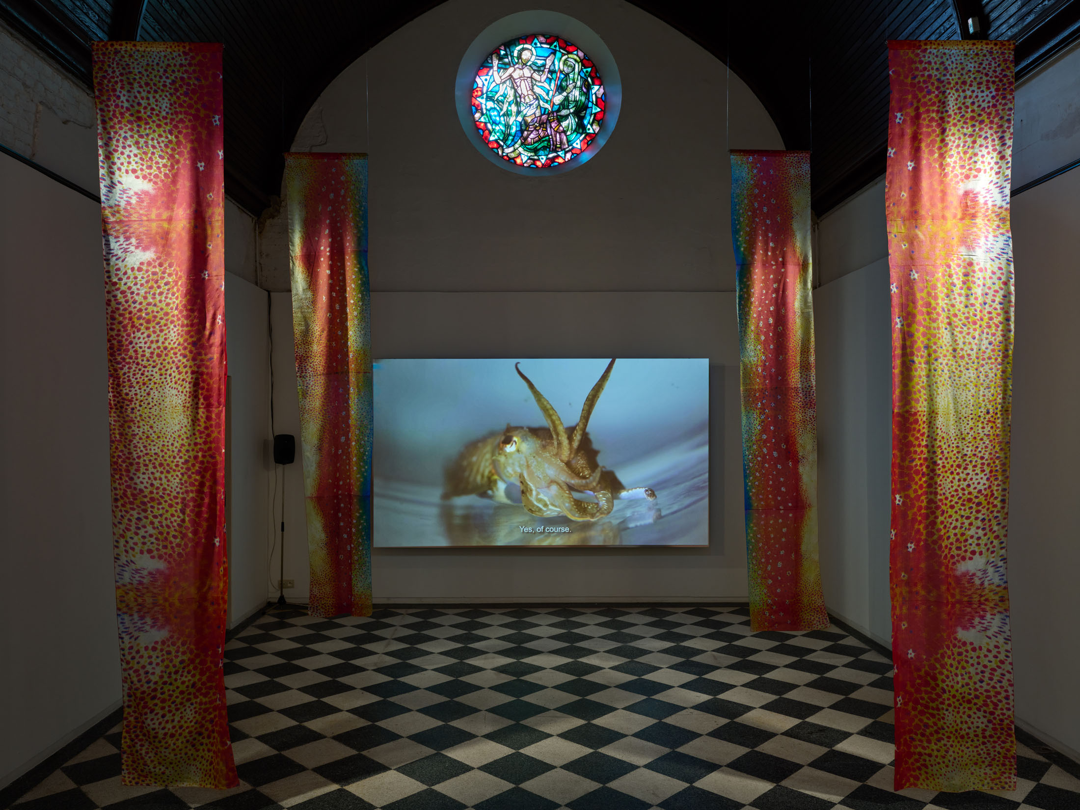 Bianca baldi at kunsthal extra city, antwerp 3