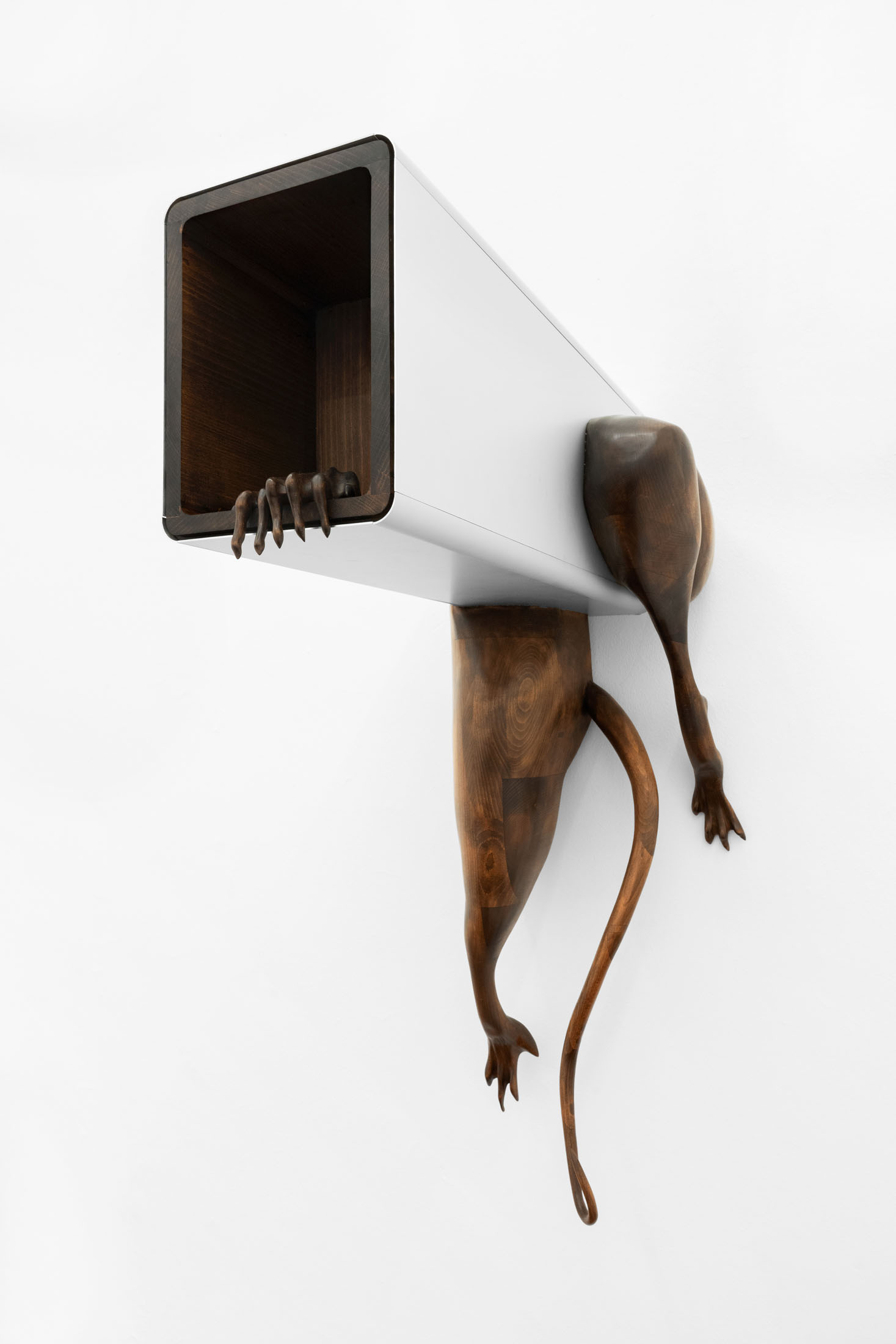 Eliott paquet at studiolo, milan 16