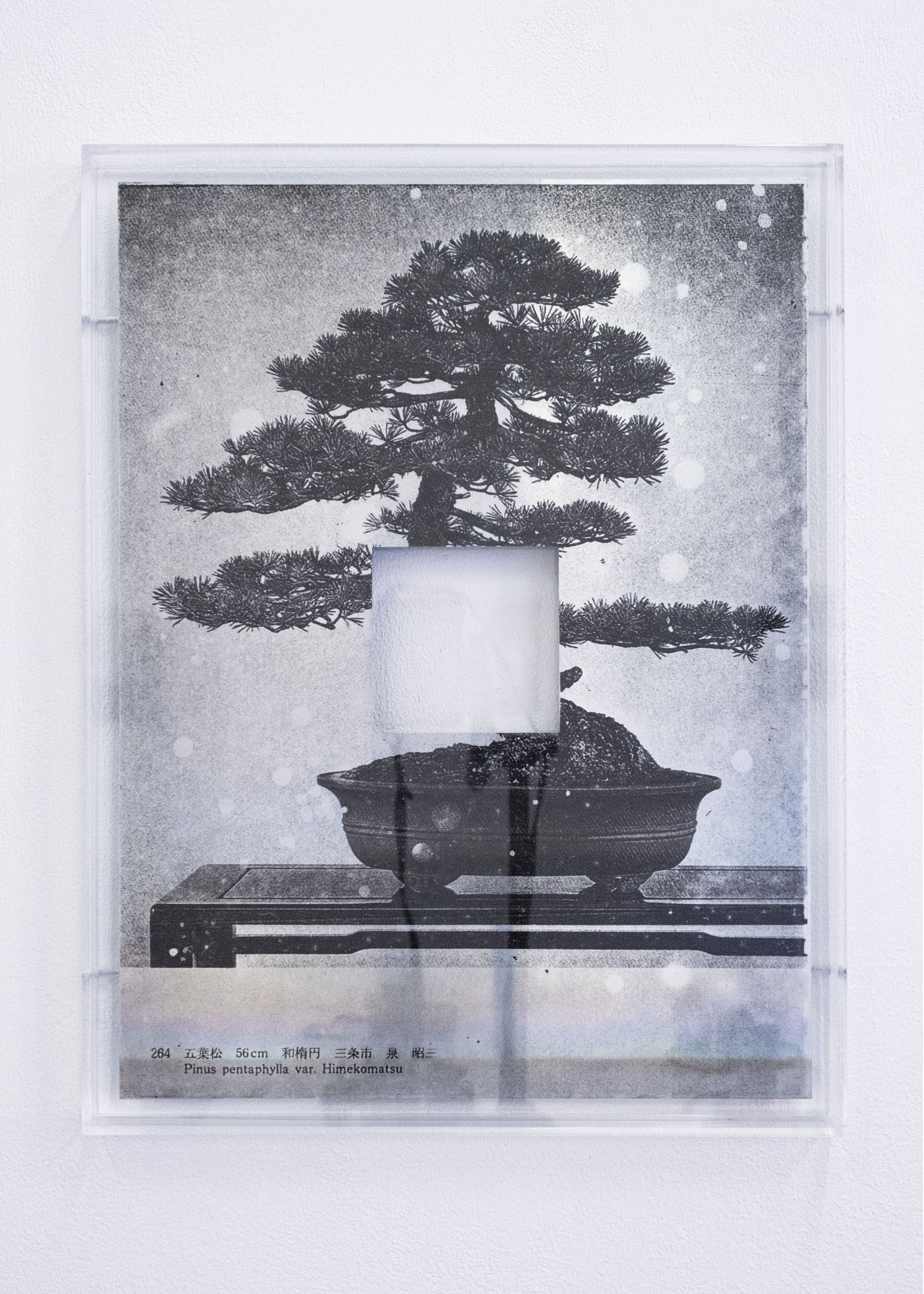 Jan s. hansen at bladr, copenhagen 14