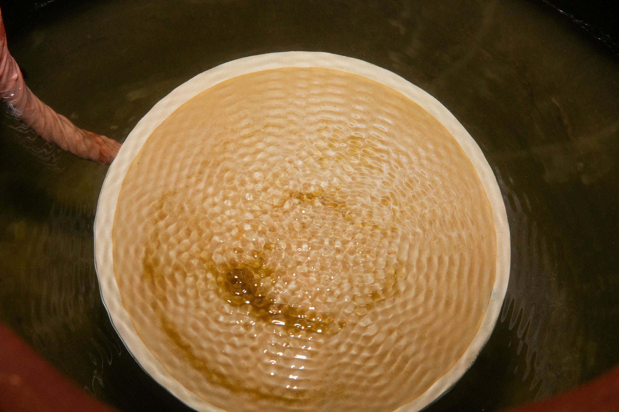 Lara dâmaso at kunstmuseum magdeburg 39