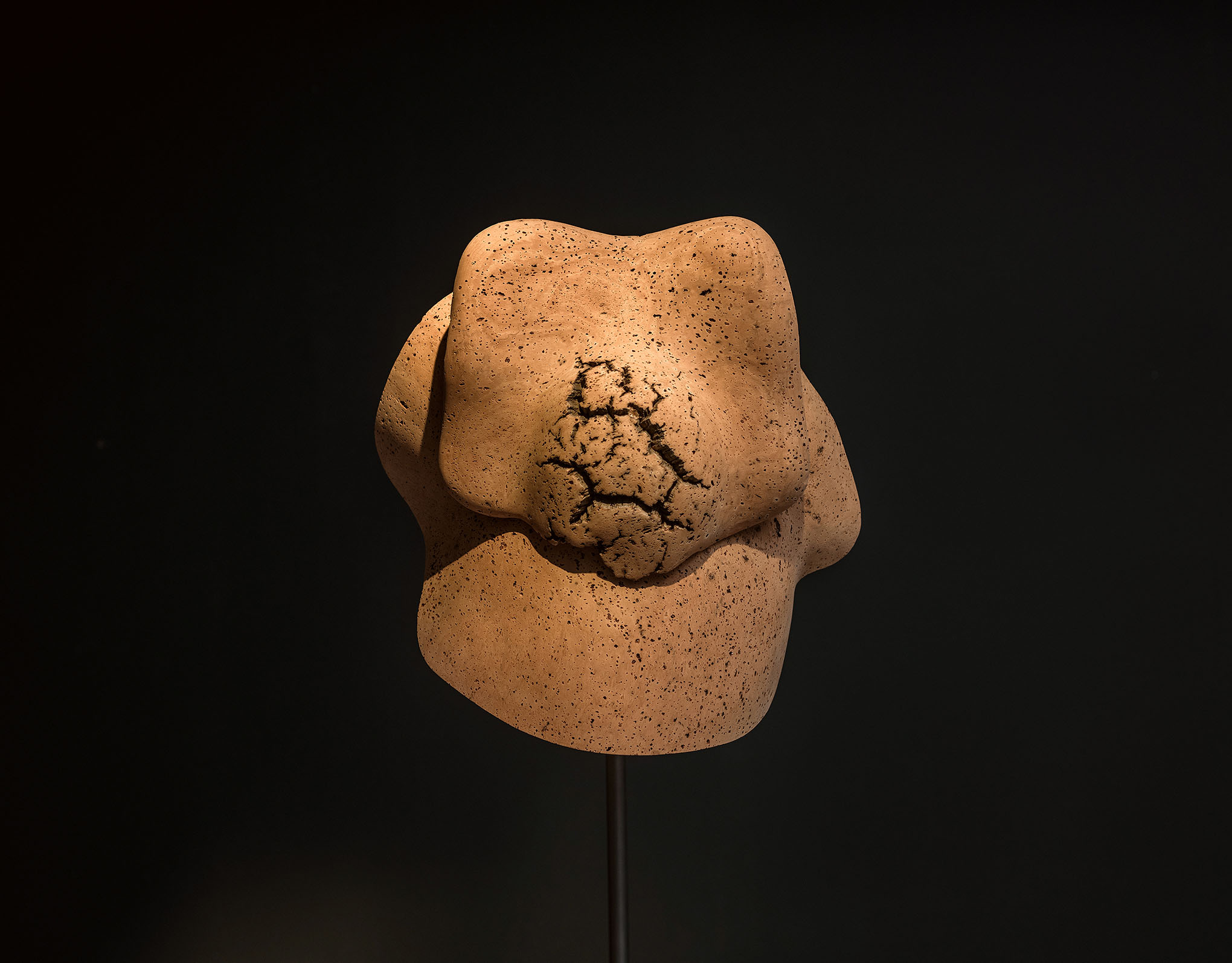 Lui shtini at tops gallery, memphis 11