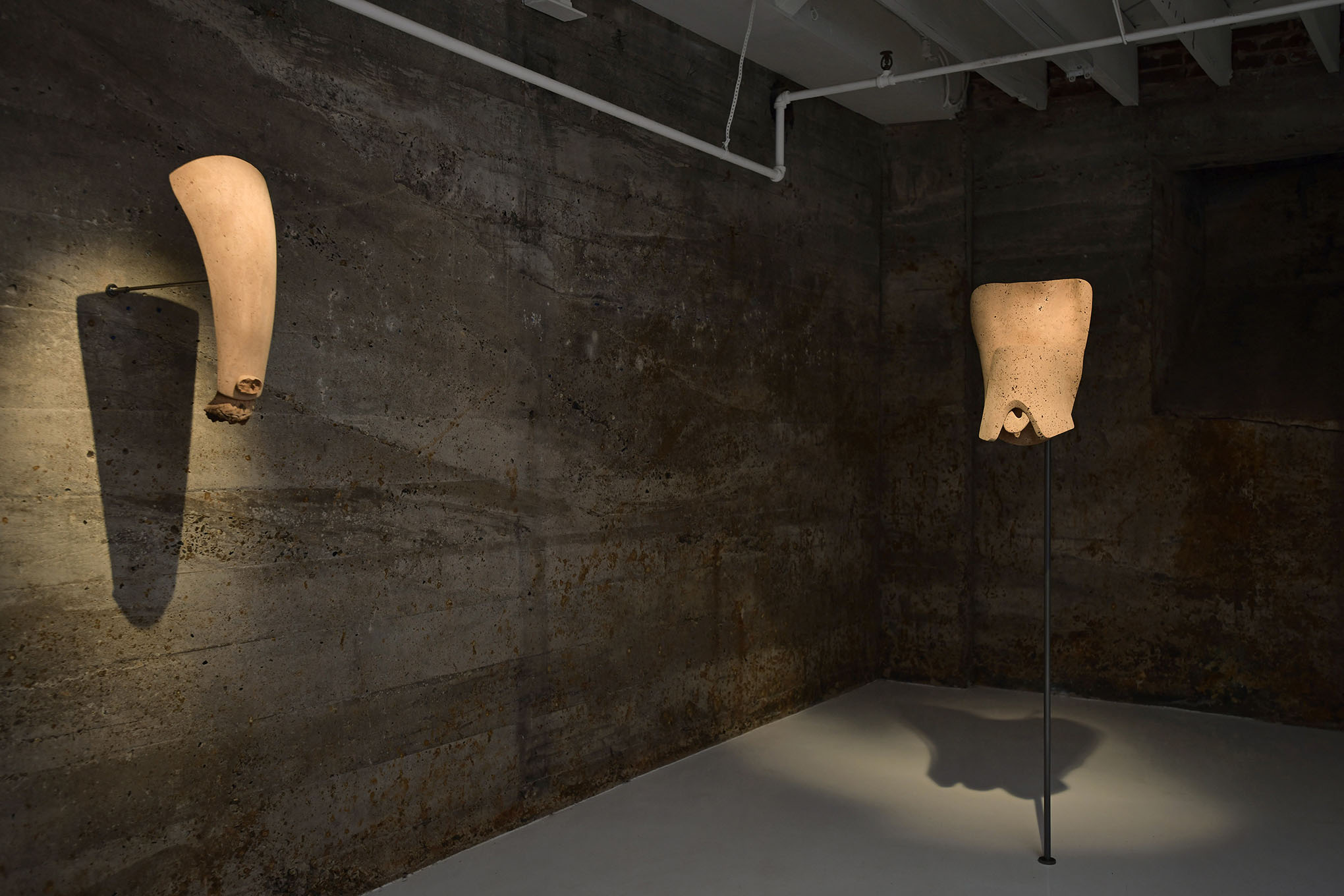 Lui shtini at tops gallery, memphis 5