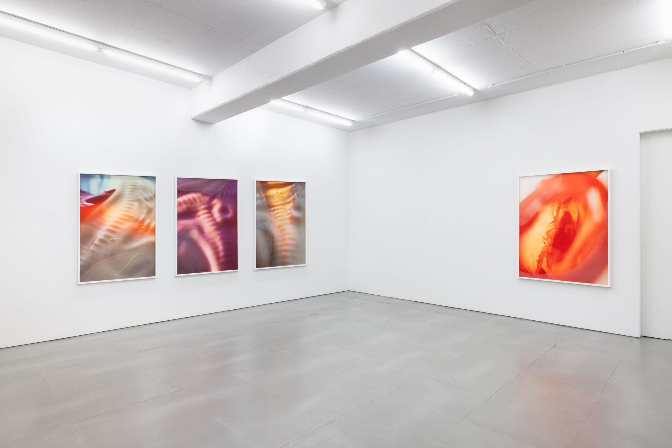 Pakui hardware at carlier | gebauer, berlin 9