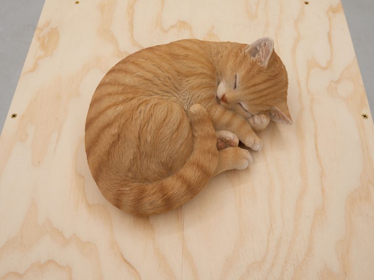 Philip hinge at afternoon projects, vancouver artwork 16