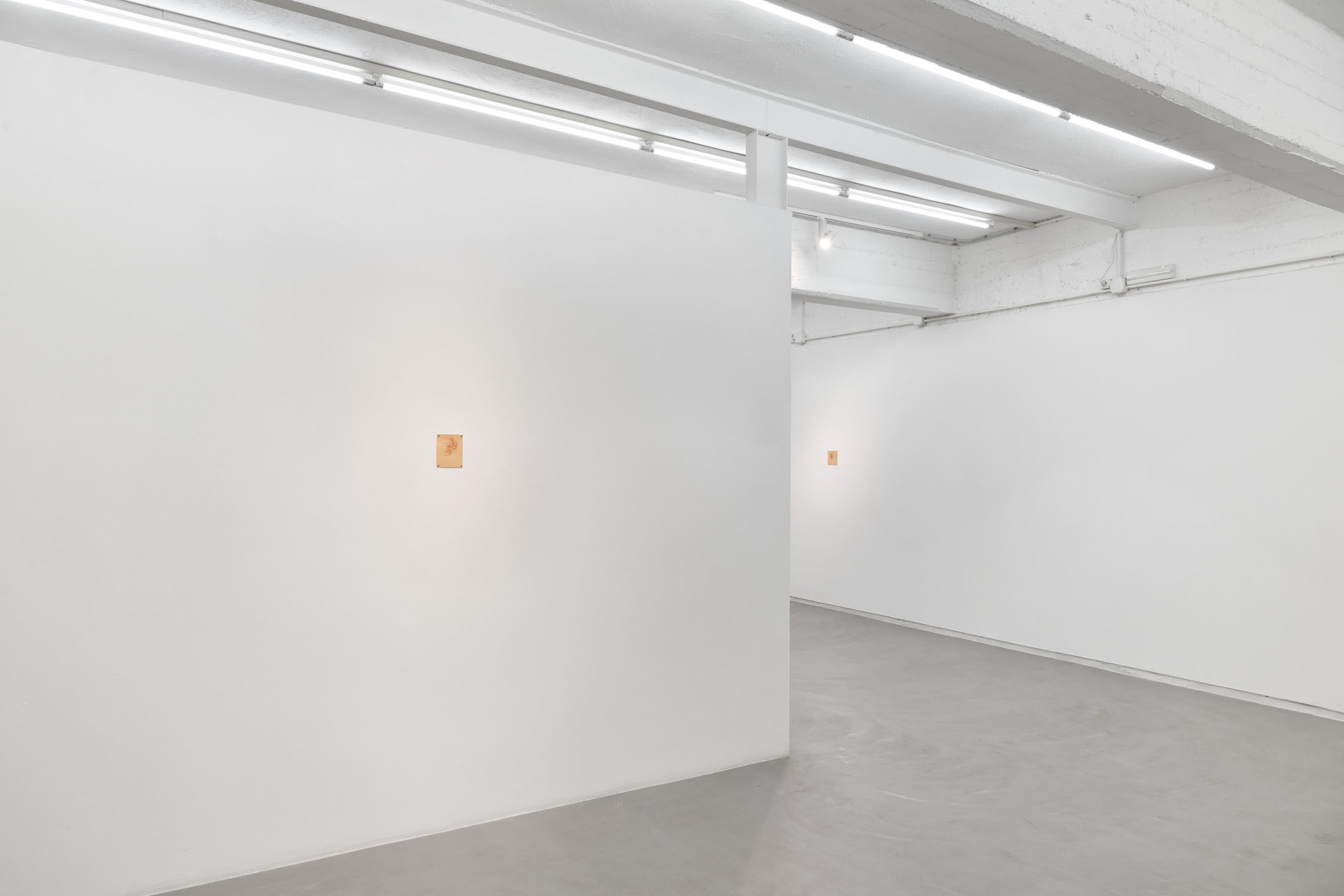 Pietro fachini and renato guttuso at artnoble gallery, milan 16