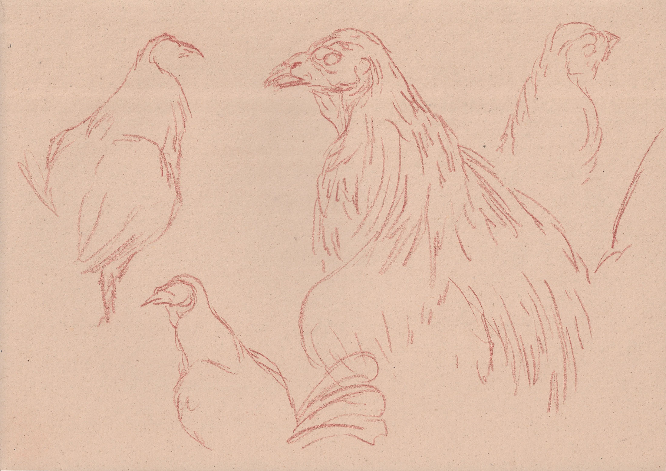 Pietro fachini and renato guttuso at artnoble gallery, milan artwork 10