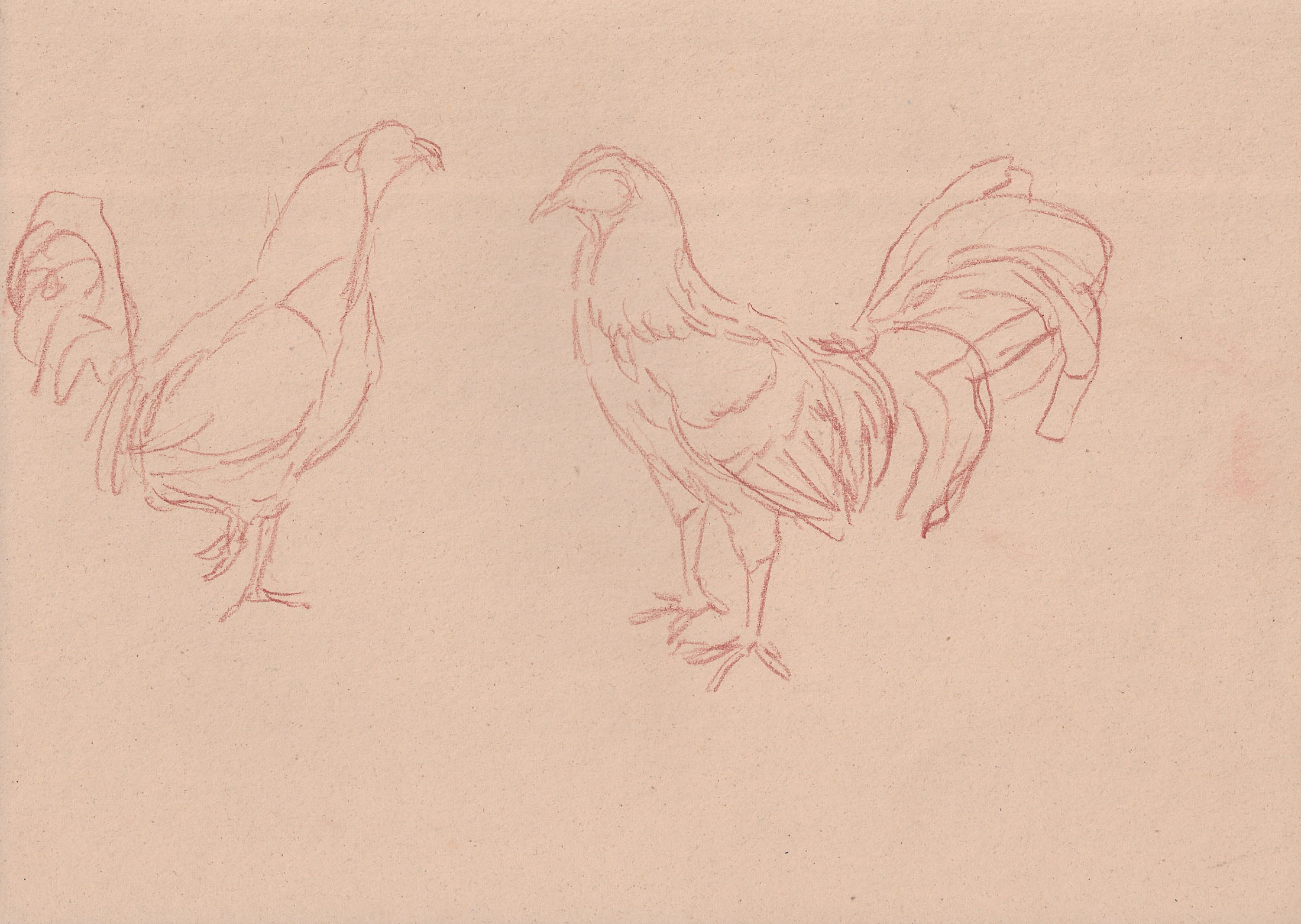 Pietro fachini and renato guttuso at artnoble gallery, milan artwork 11