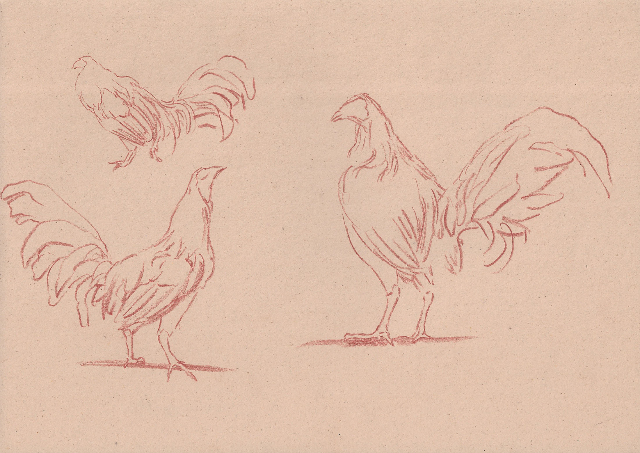 Pietro fachini and renato guttuso at artnoble gallery, milan artwork 12