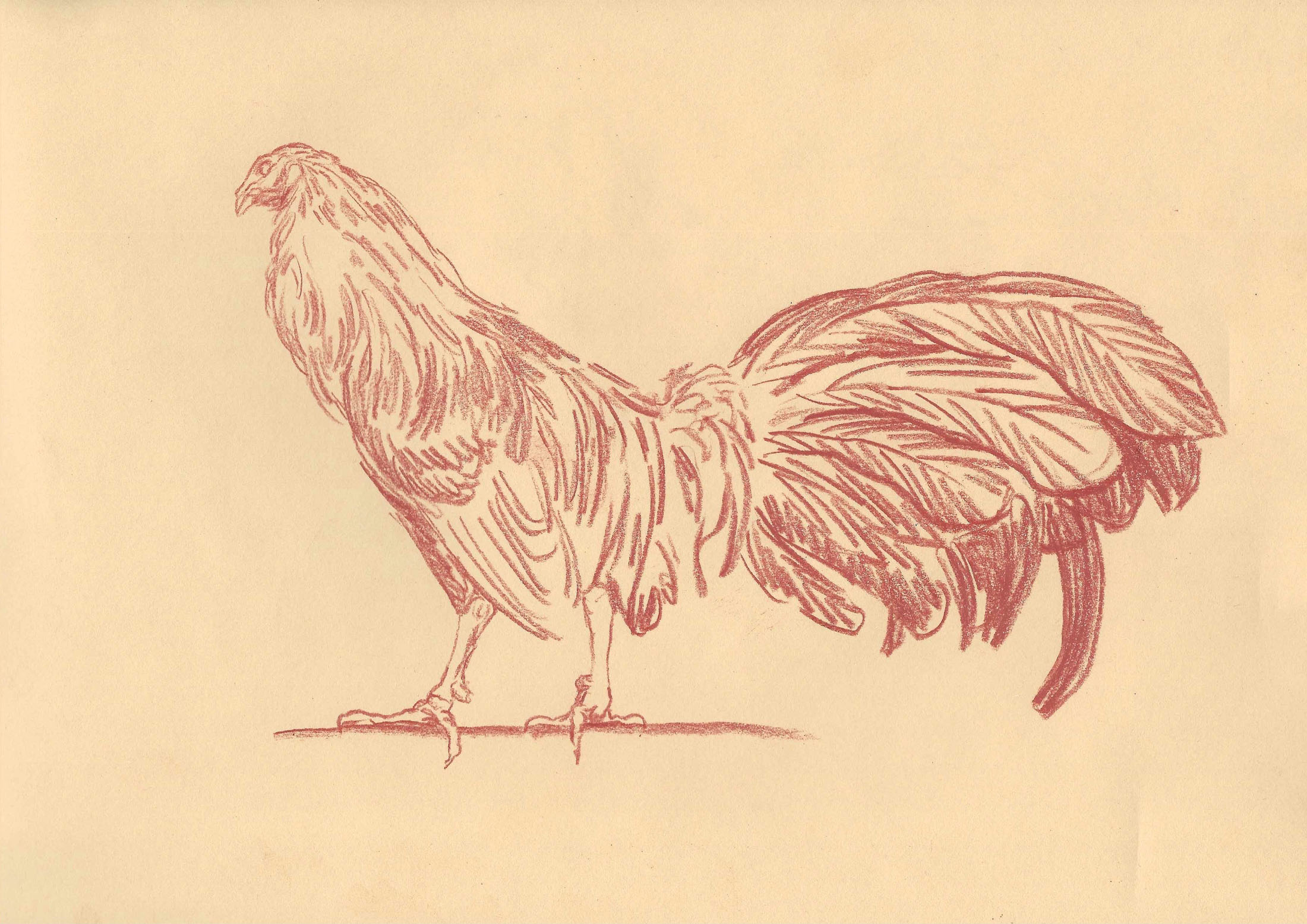 Pietro fachini and renato guttuso at artnoble gallery, milan artwork 2