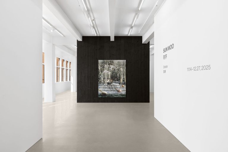 Sun woo at gallery vacancy, shanghai 1