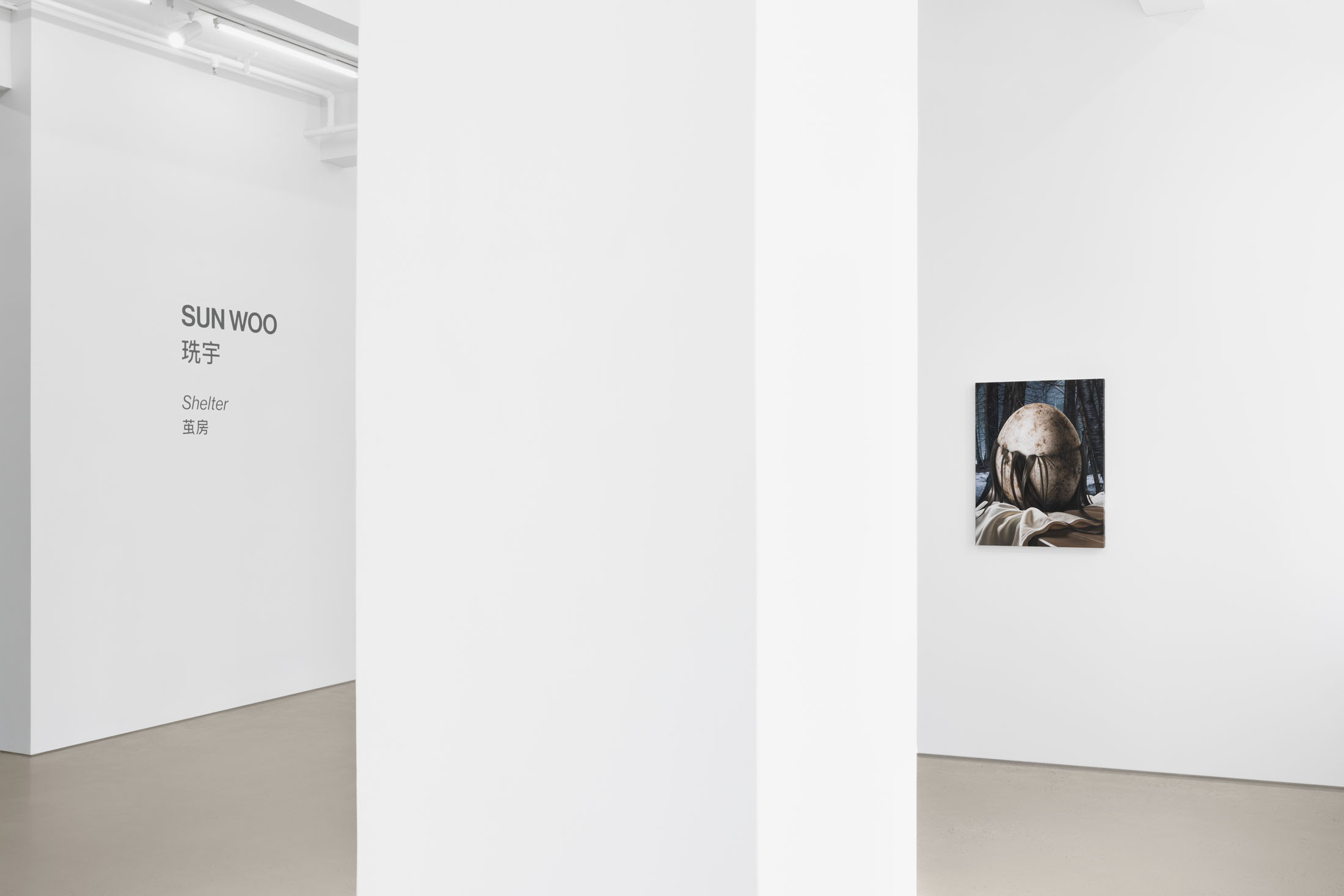 Sun woo at gallery vacancy, shanghai 6