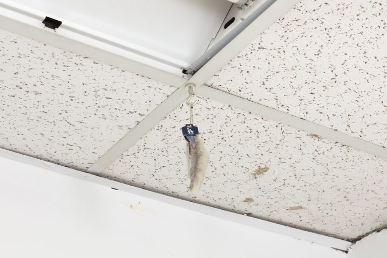 Tanya brodsky at gene’s dispensary, los angeles 23