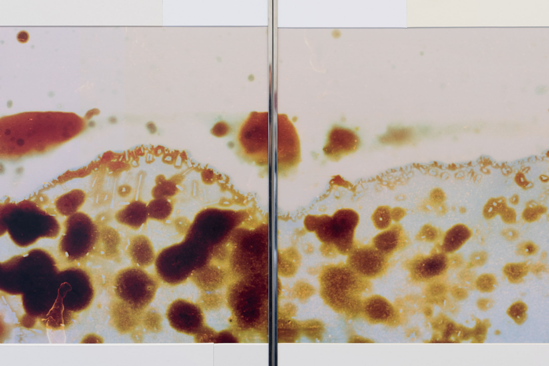 Aden miller at neuer essener kunstverein 1