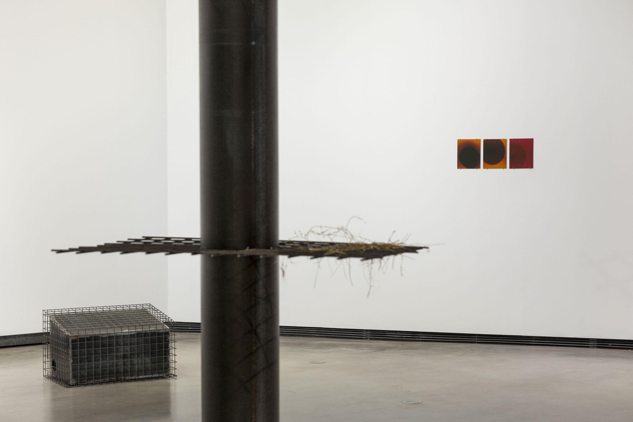 Christian lagata at centro de creación contemporánea de andalucía c3a, cordoba 6